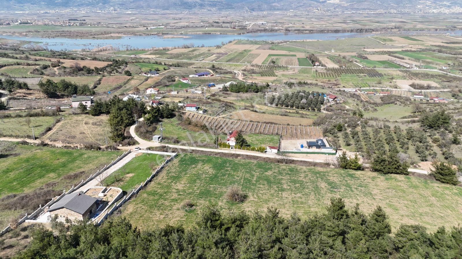 Sakarya Kozan Fırsat 6560 M2 Sakarya Nehri Manzaralı Köye 300 Mt - Görsel 25