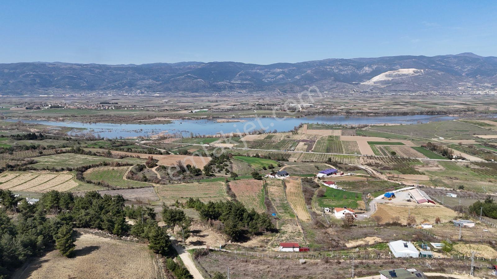 Sakarya Kozan Fırsat 6560 M2 Sakarya Nehri Manzaralı Köye 300 Mt - Görsel 27