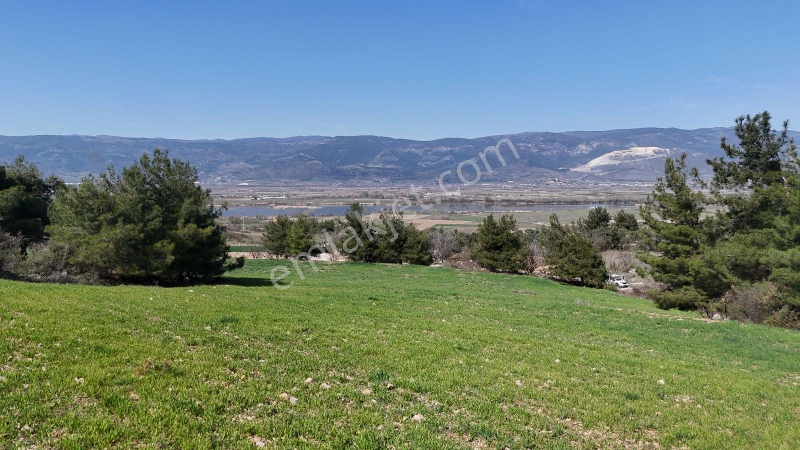 Sakarya Kozan Fırsat 6560 M2 Sakarya Nehri Manzaralı Köye 300 Mt - Görsel 9
