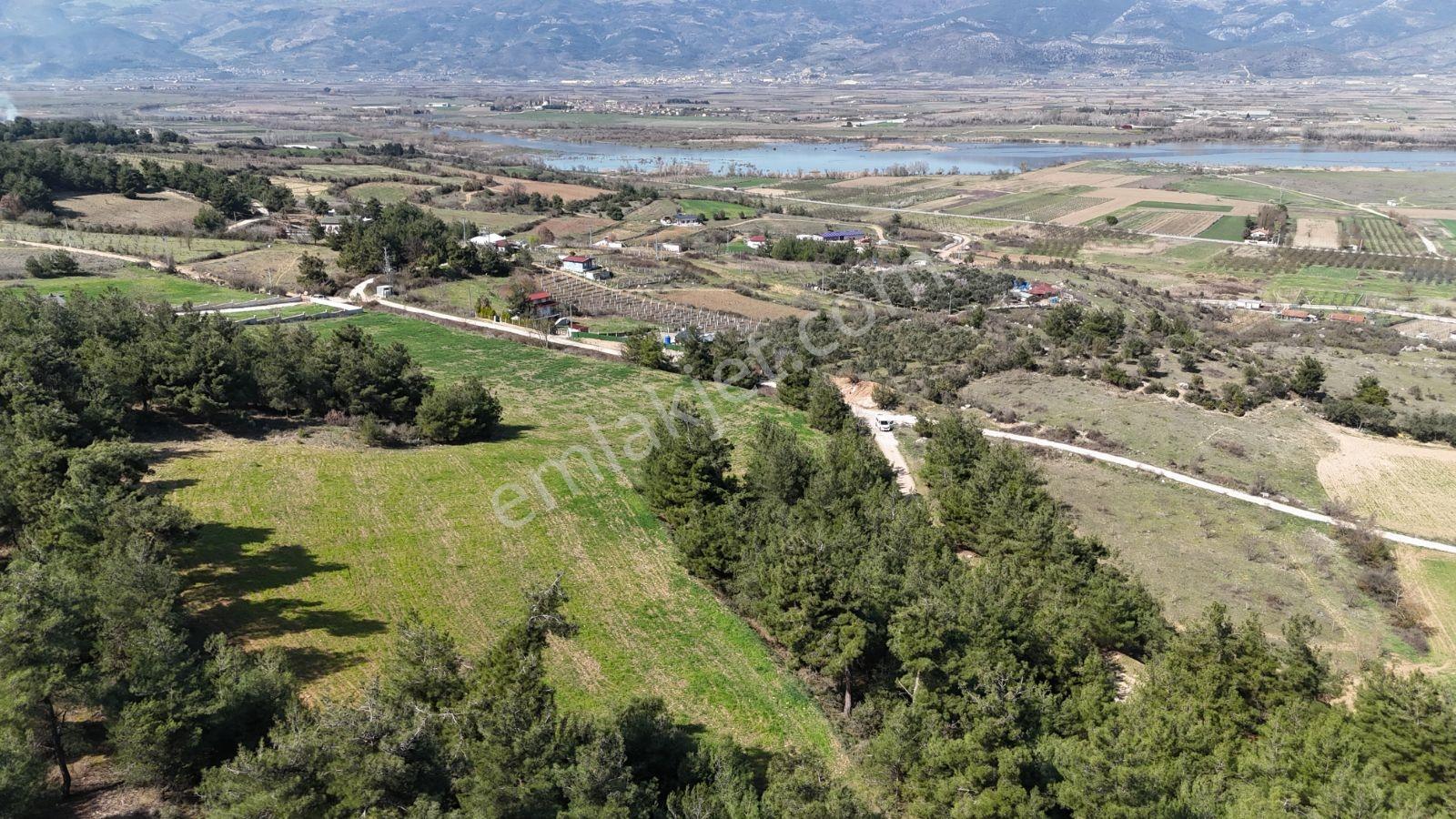 Sakarya Kozan Fırsat 6560 M2 Sakarya Nehri Manzaralı Köye 300 Mt - Görsel 23