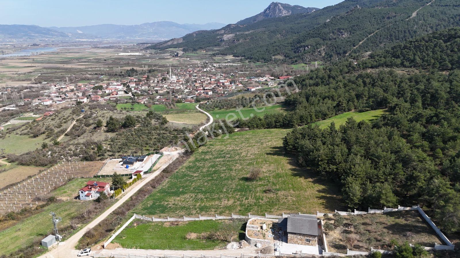 Sakarya Kozan Fırsat 6560 M2 Sakarya Nehri Manzaralı Köye 300 Mt