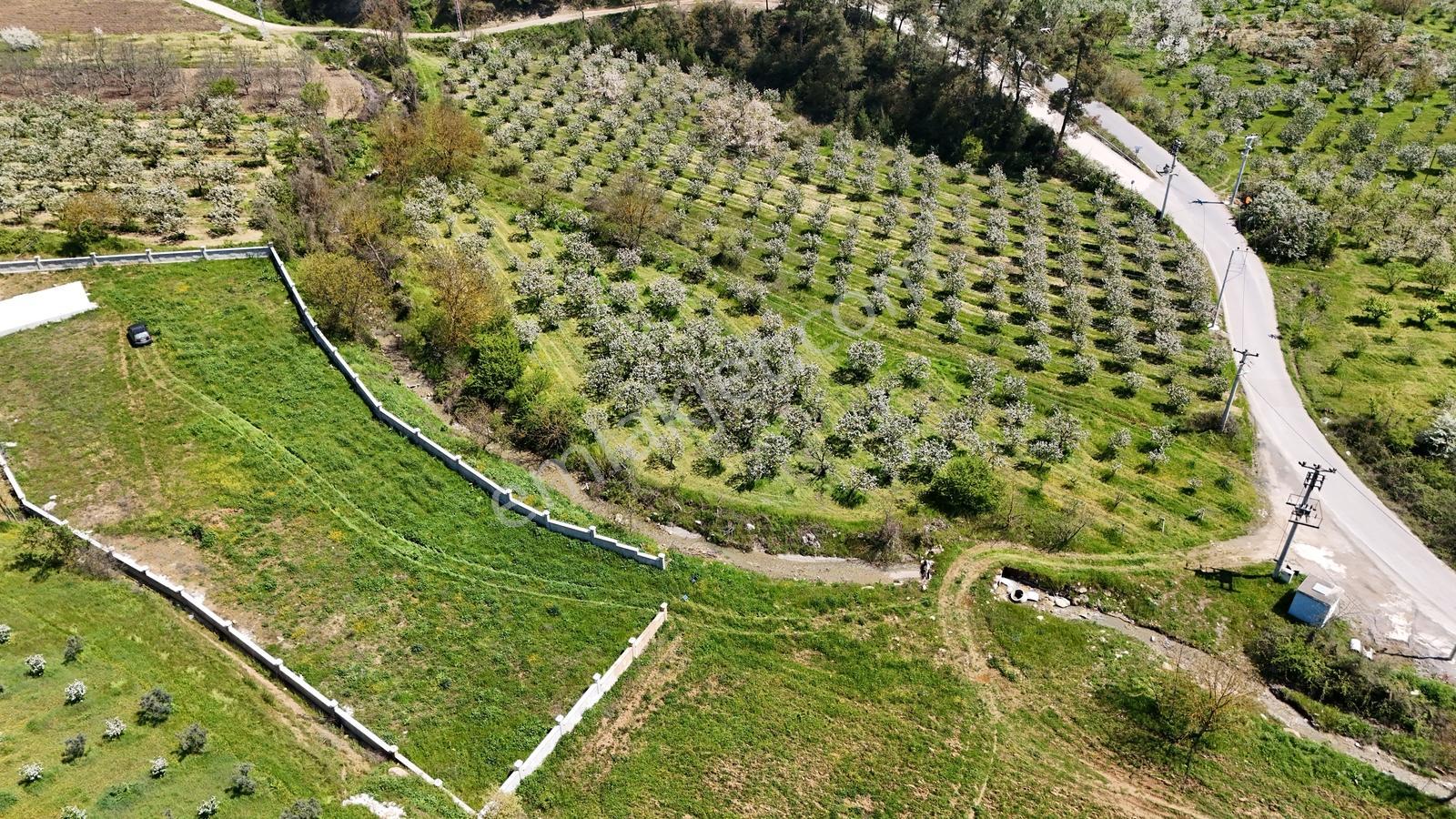Sakarya Geyve 3292m2 Uygun Derekenarı Perdebeton Hazırtemel Arsa - Görsel 26