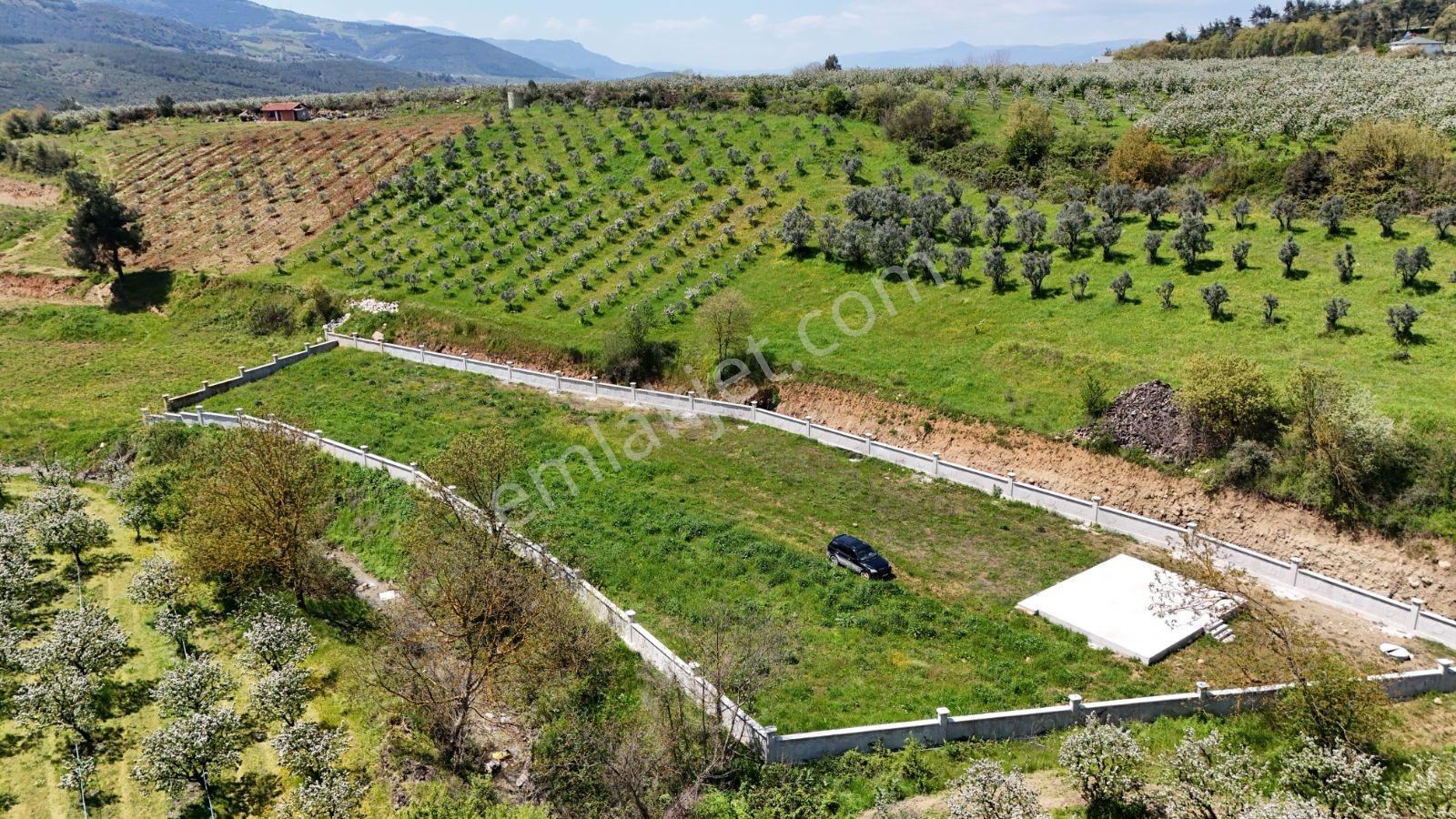 Sakarya Geyve 3292m2 Uygun Derekenarı Perdebeton Hazırtemel Arsa - Görsel 30