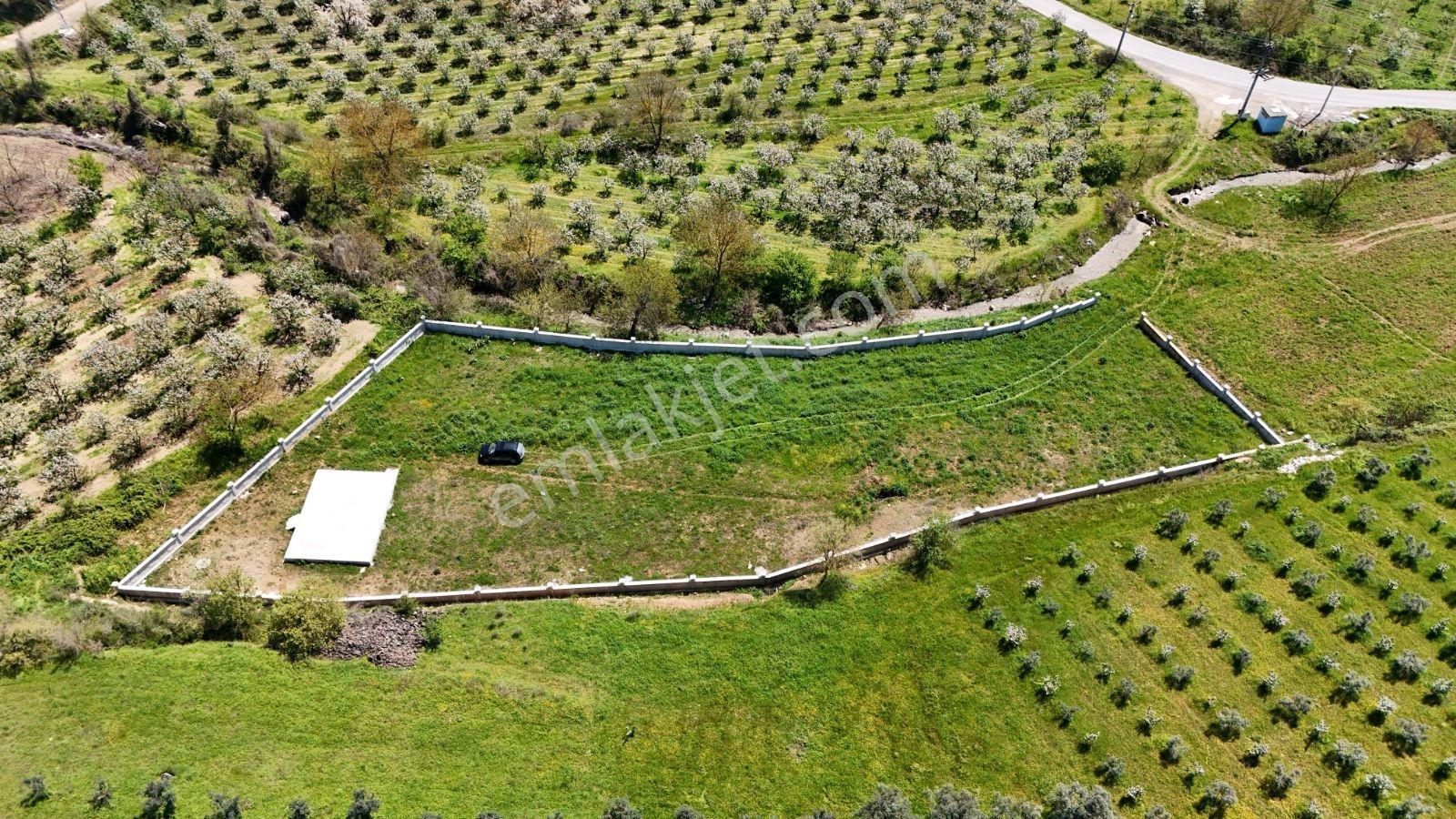Sakarya Geyve 3292m2 Uygun Derekenarı Perdebeton Hazırtemel Arsa - Görsel 18