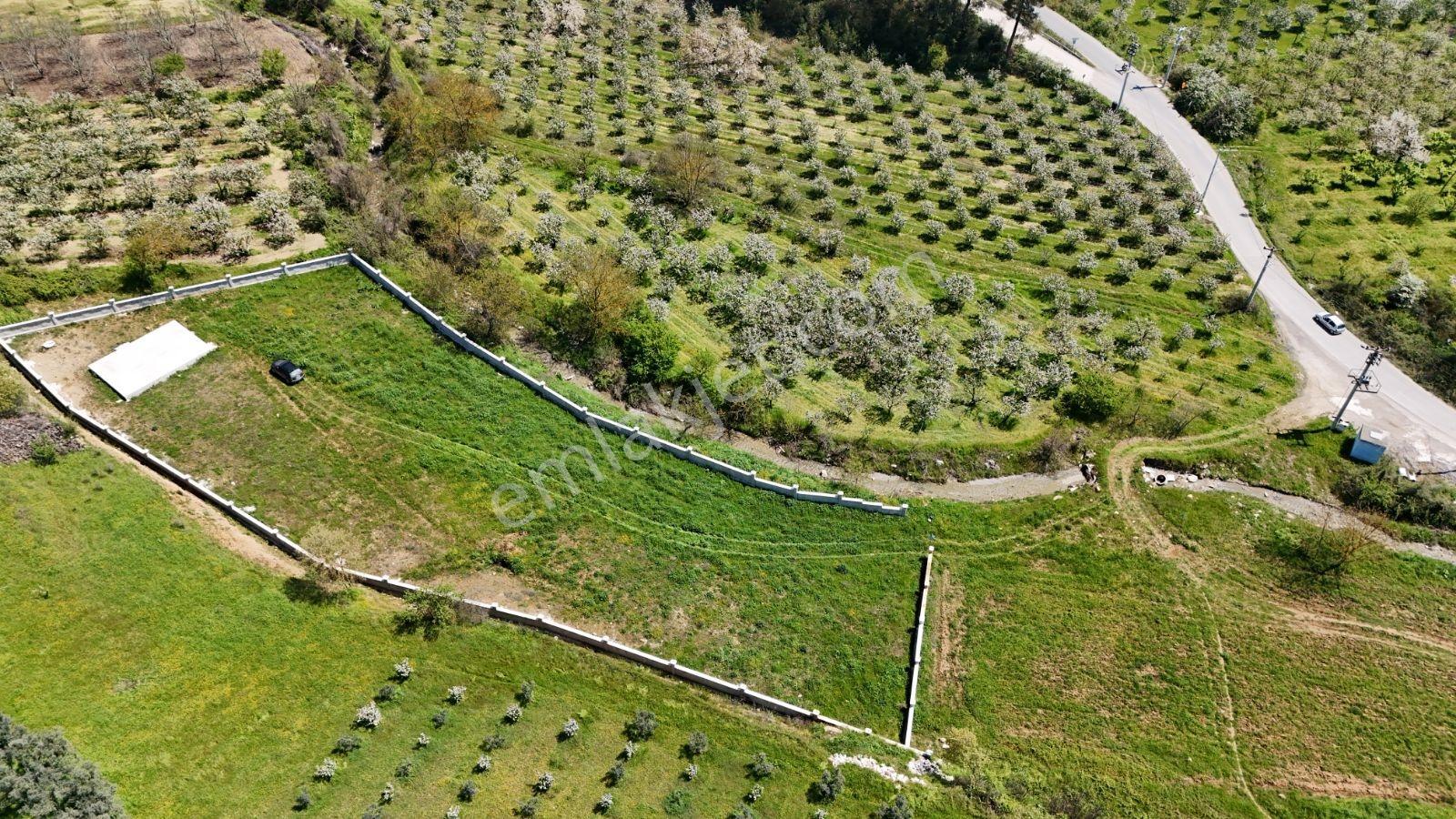 Sakarya Geyve 3292m2 Uygun Derekenarı Perdebeton Hazırtemel Arsa - Görsel 19