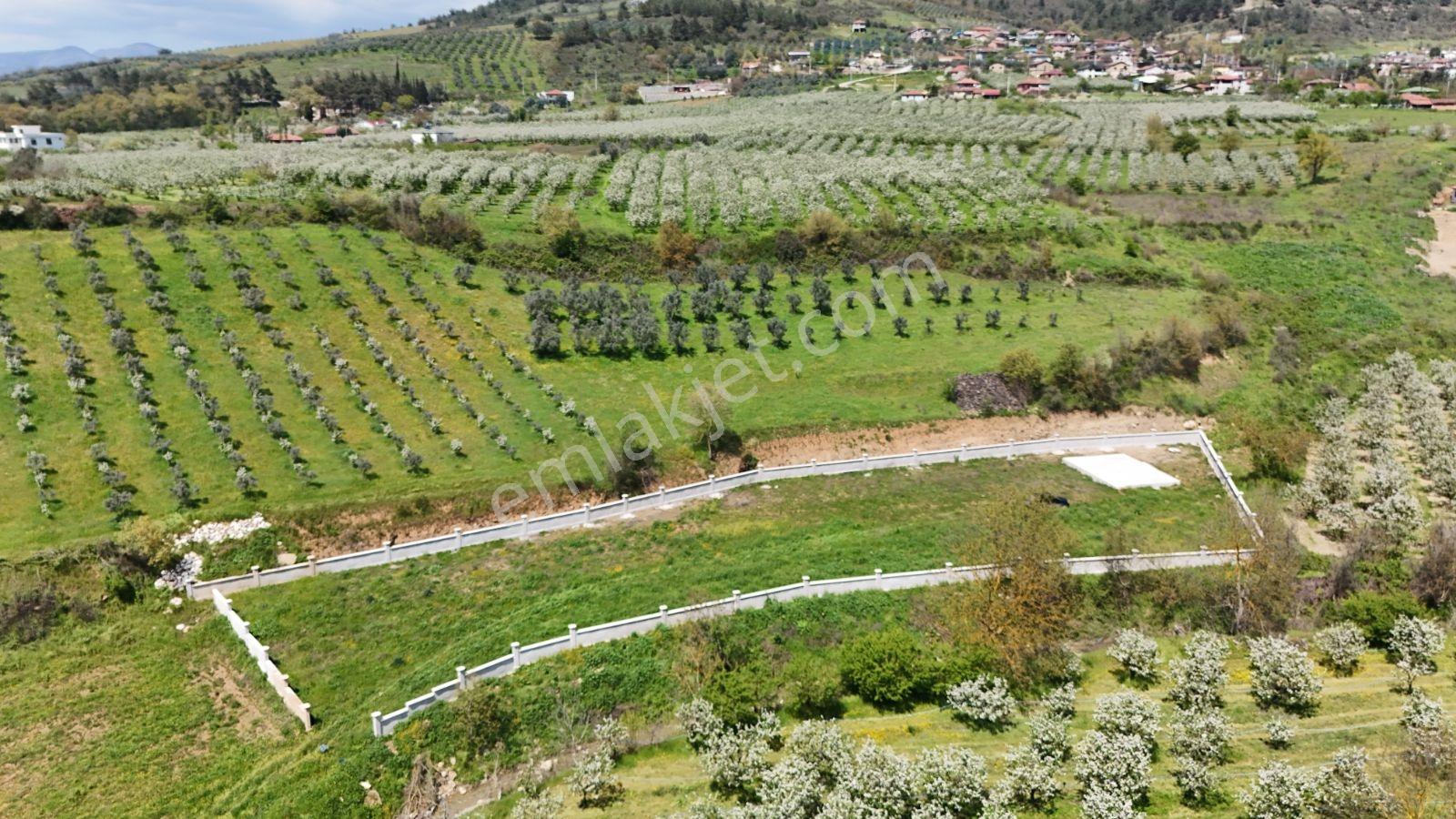 Sakarya Geyve 3292m2 Uygun Derekenarı Perdebeton Hazırtemel Arsa - Görsel 10