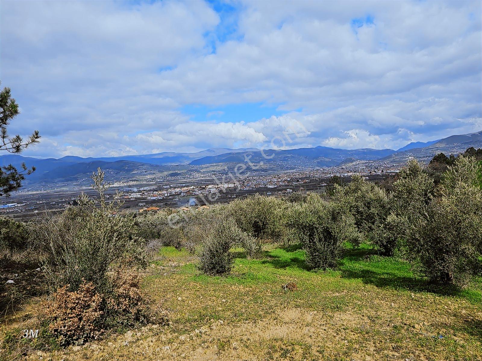 Sakarya Geyve Sarigazi 2500 M² Fırsat Arazi - Görsel 25