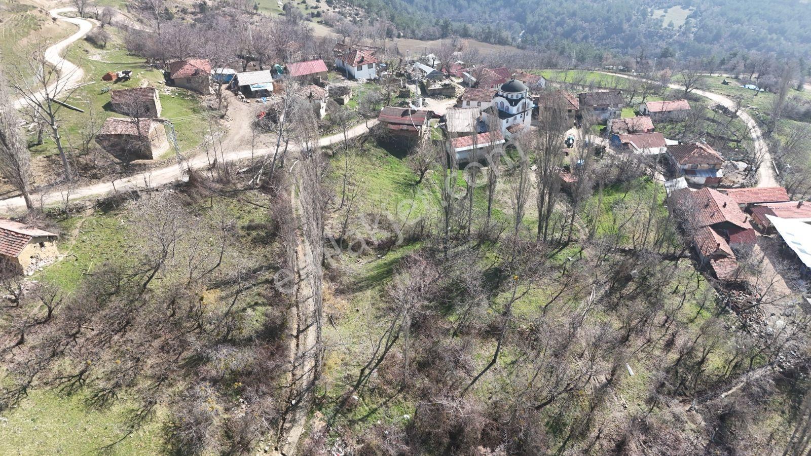Sakarya Taraklı'da 565 M2 %40 Konut İmarlı Fırsat Arsa - Görsel 4
