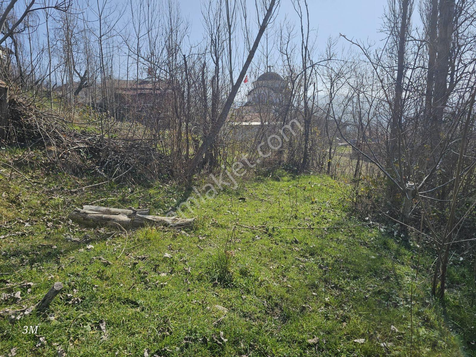 Sakarya Taraklı'da 565 M2 %40 Konut İmarlı Fırsat Arsa - Görsel 7