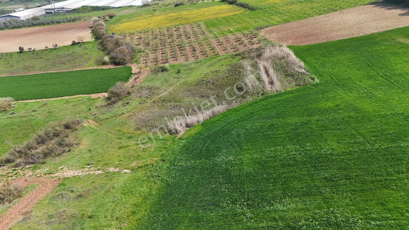 Sakarya Geyve Kozan 6055 M2 Yatırımlık Uygun Fırsat Tarla - Görsel 2