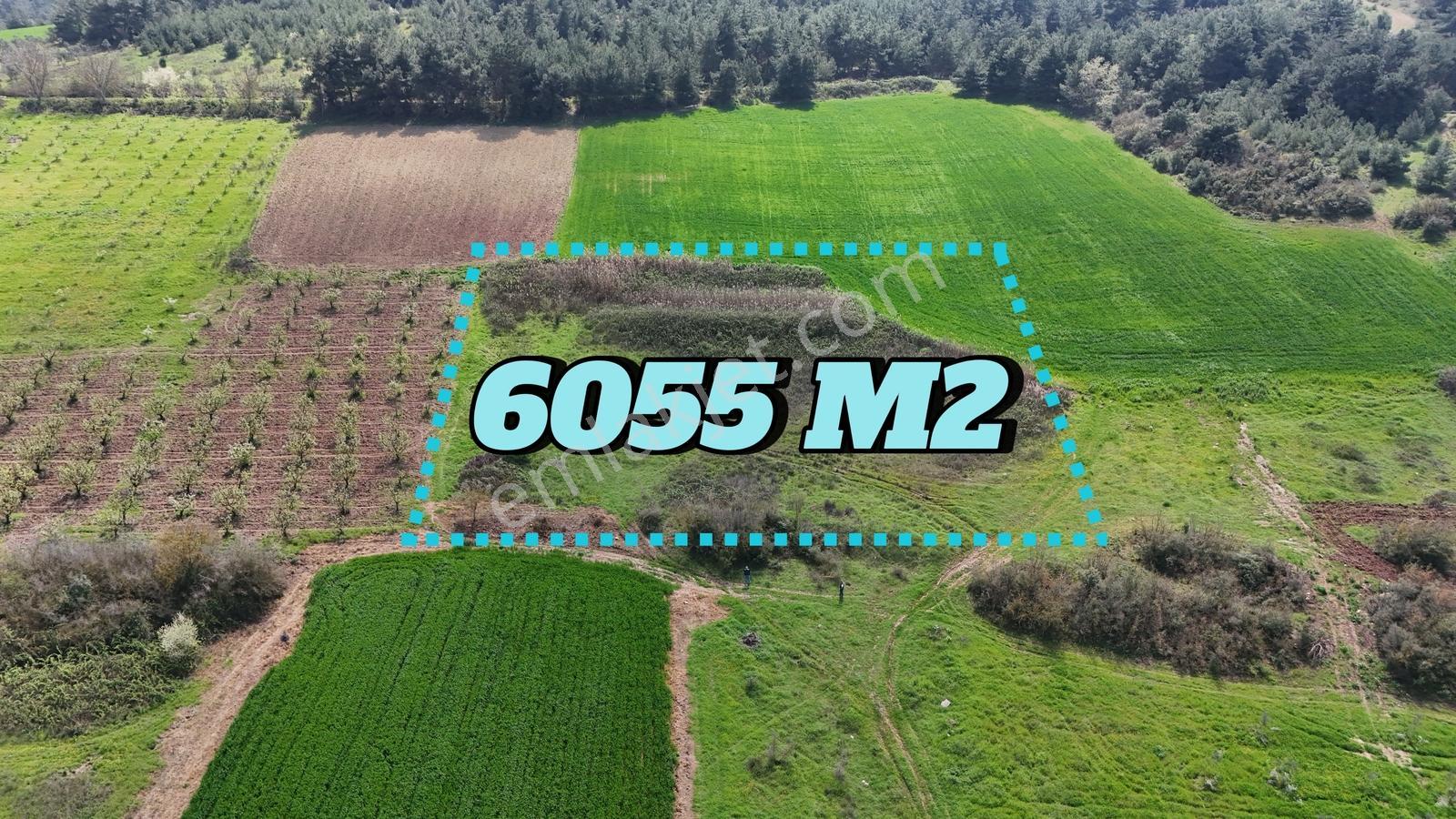 Sakarya Geyve Kozan 6055 M2 Yatırımlık Uygun Fırsat Tarla