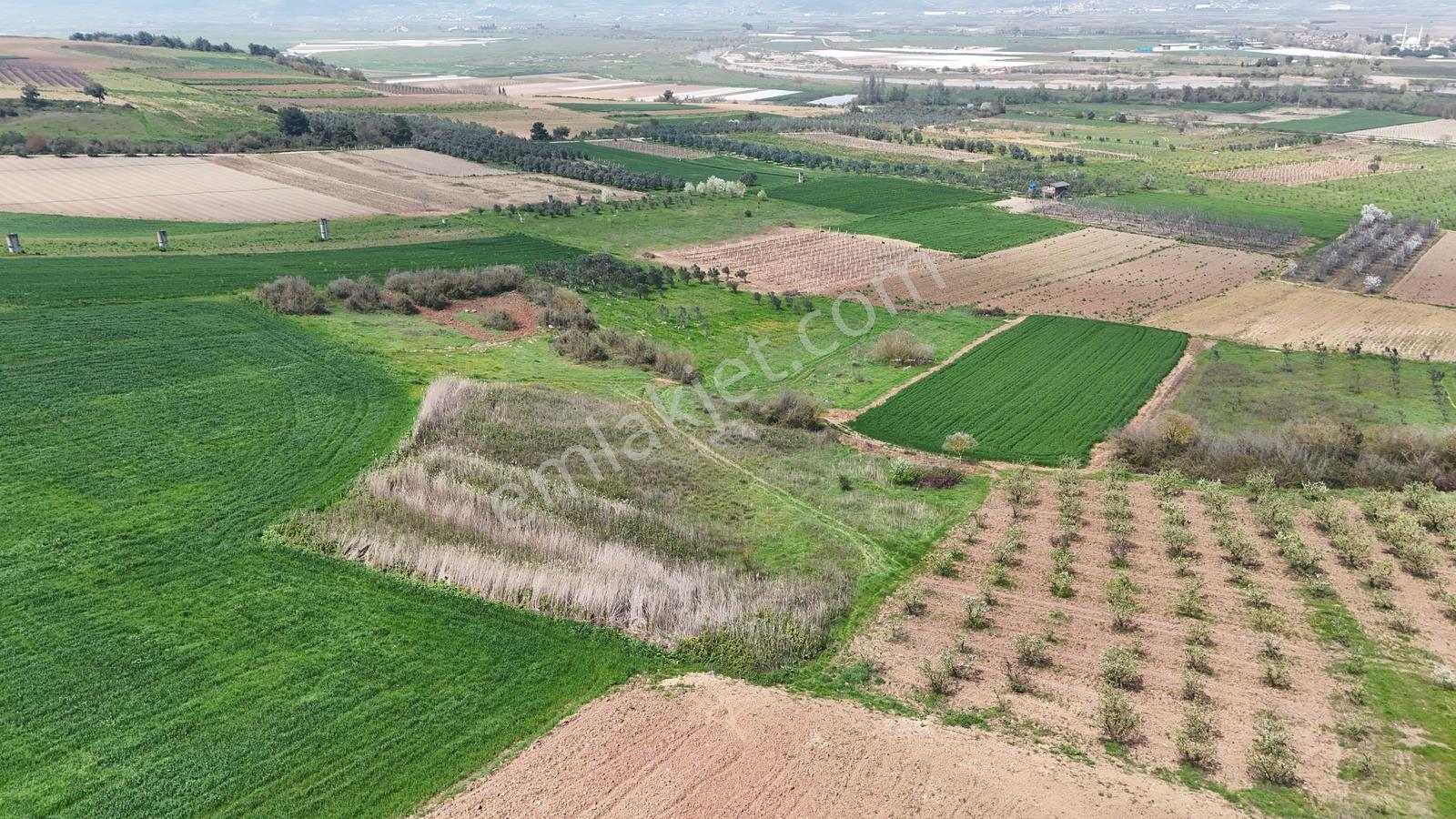 Sakarya Geyve Kozan 6055 M2 Yatırımlık Uygun Fırsat Tarla - Görsel 6