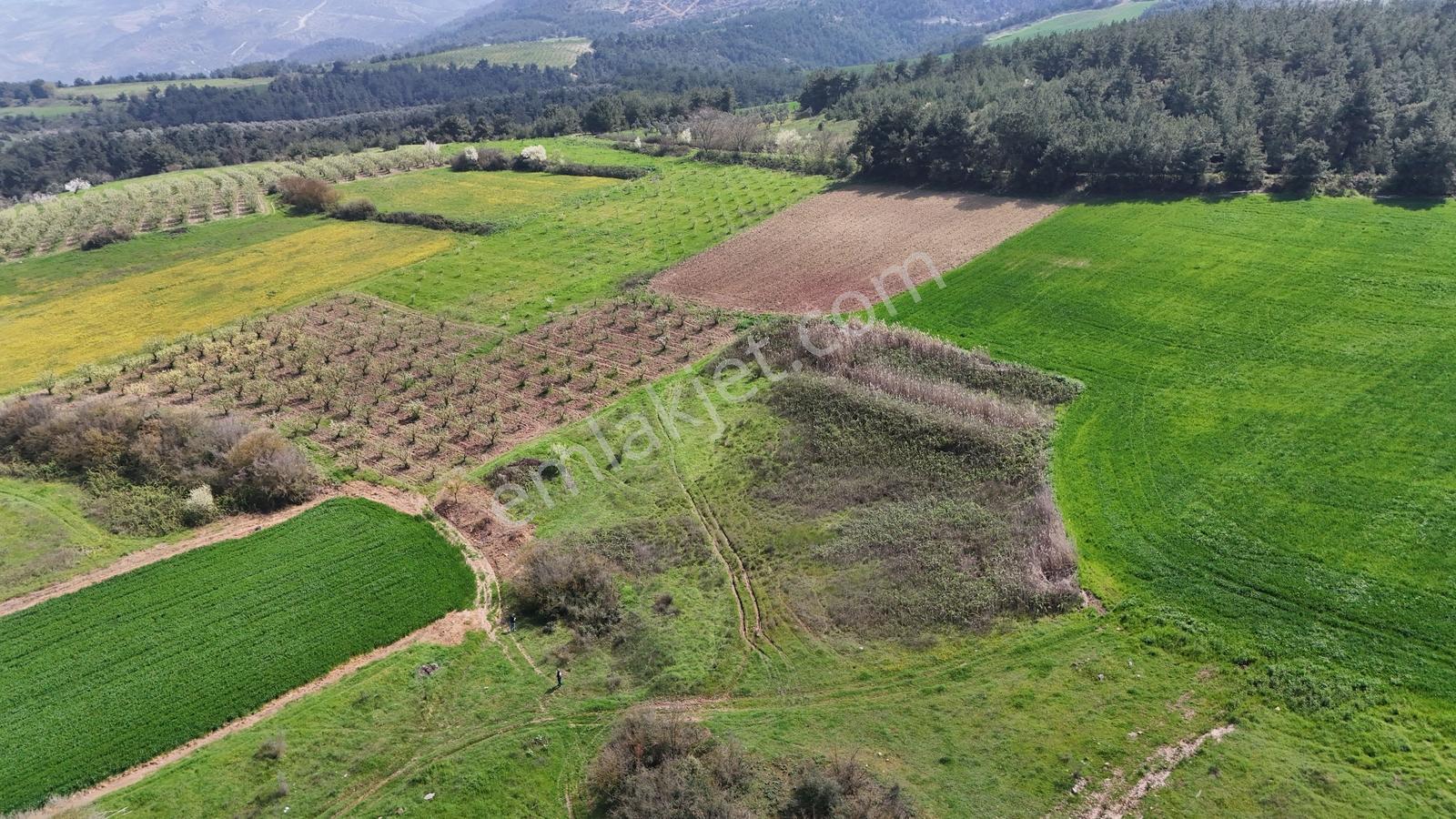 Sakarya Geyve Kozan 6055 M2 Yatırımlık Uygun Fırsat Tarla - Görsel 18