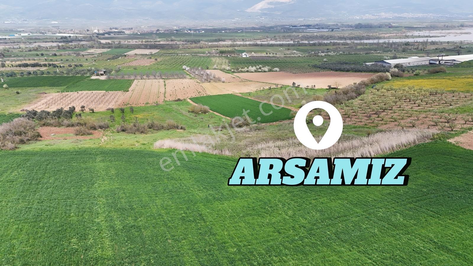 Sakarya Geyve Kozan 6055 M2 Yatırımlık Uygun Fırsat Tarla - Görsel 4