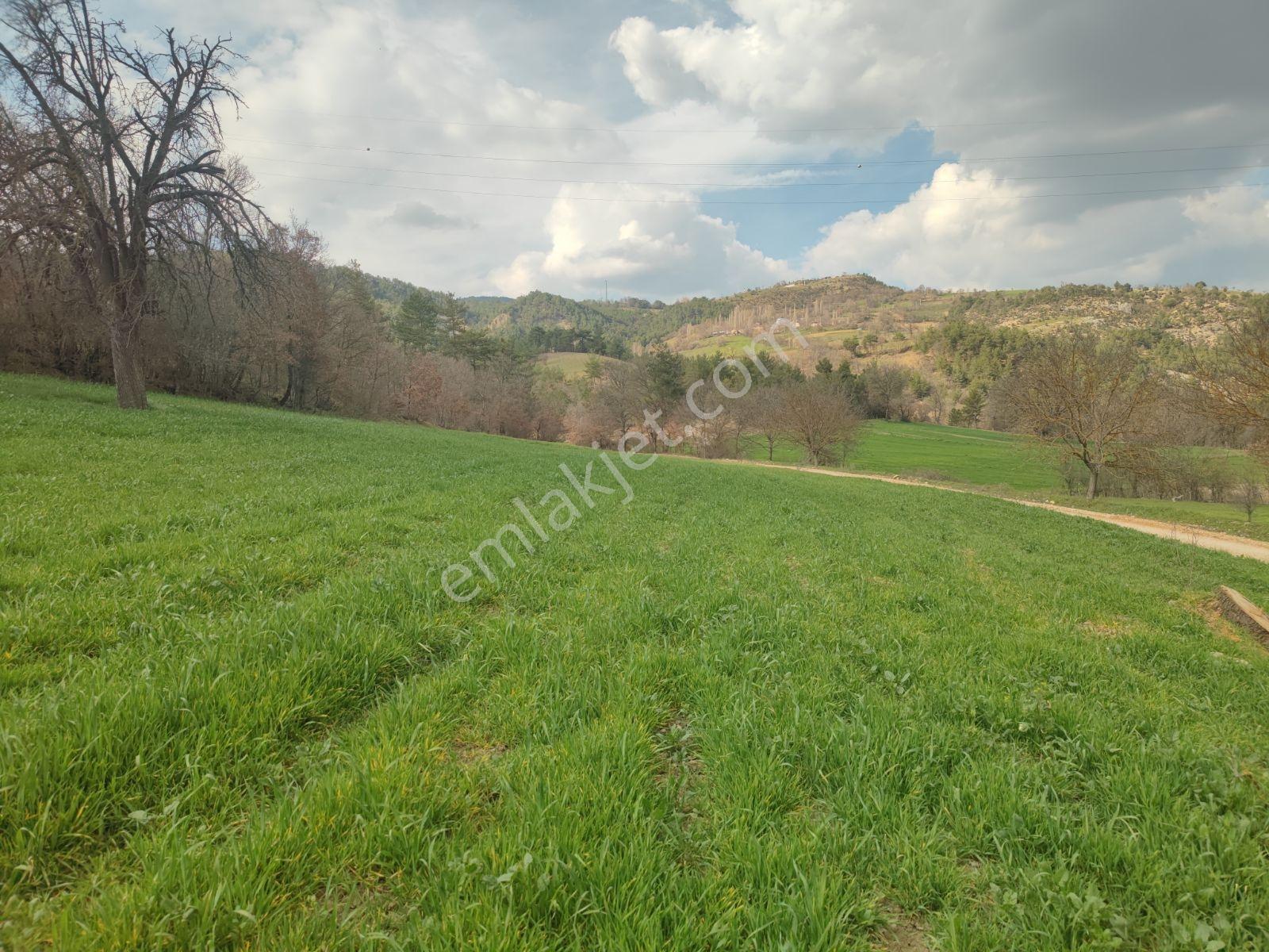 Sakarya Taraklı Harkköy 2360 M2 Asfalta Cephe Köye 500 Metre - Görsel 10
