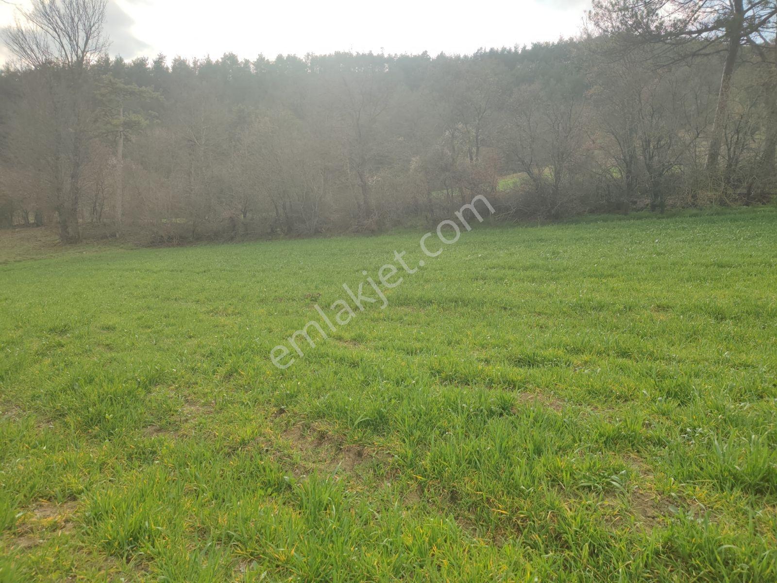 Sakarya Taraklı Harkköy 2360 M2 Asfalta Cephe Köye 500 Metre - Görsel 17