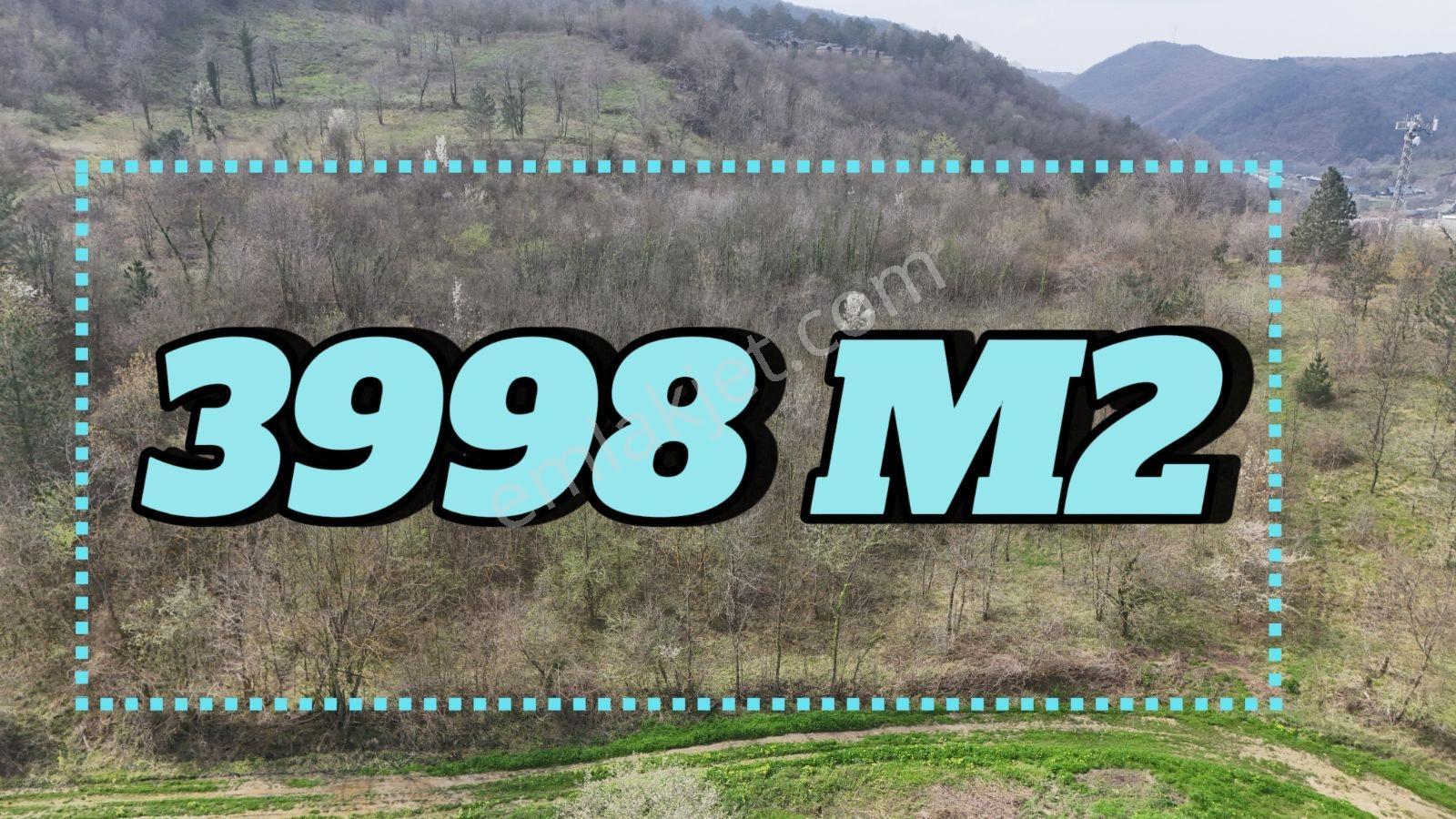 Sapanca Akçay 3998m2 Resmi Yol Elektrik Düz Çevresi Turizm Tesis
