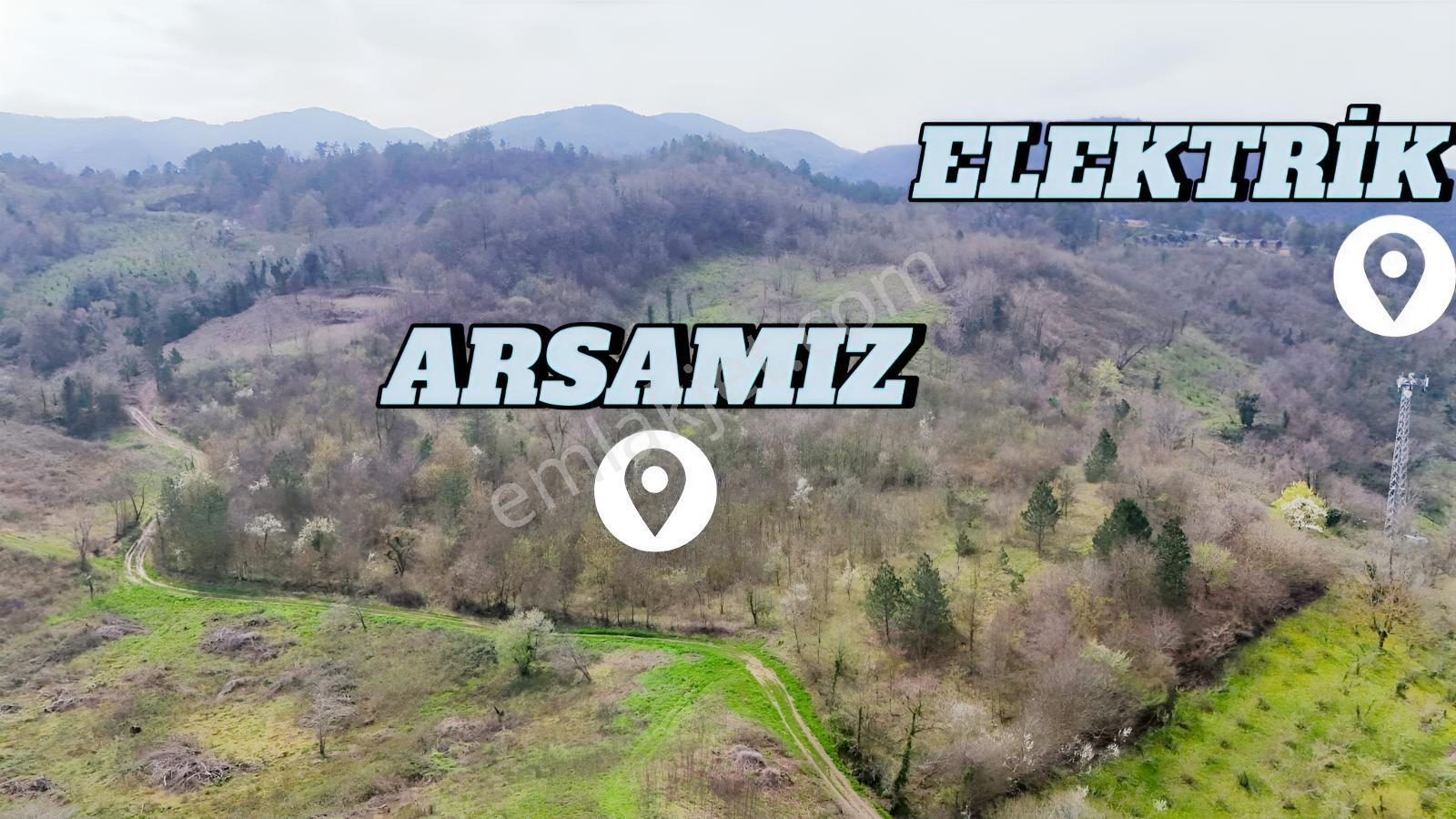 Sapanca Akçay 3998m2 Resmi Yol Elektrik Düz Çevresi Turizm Tesis - Görsel 18