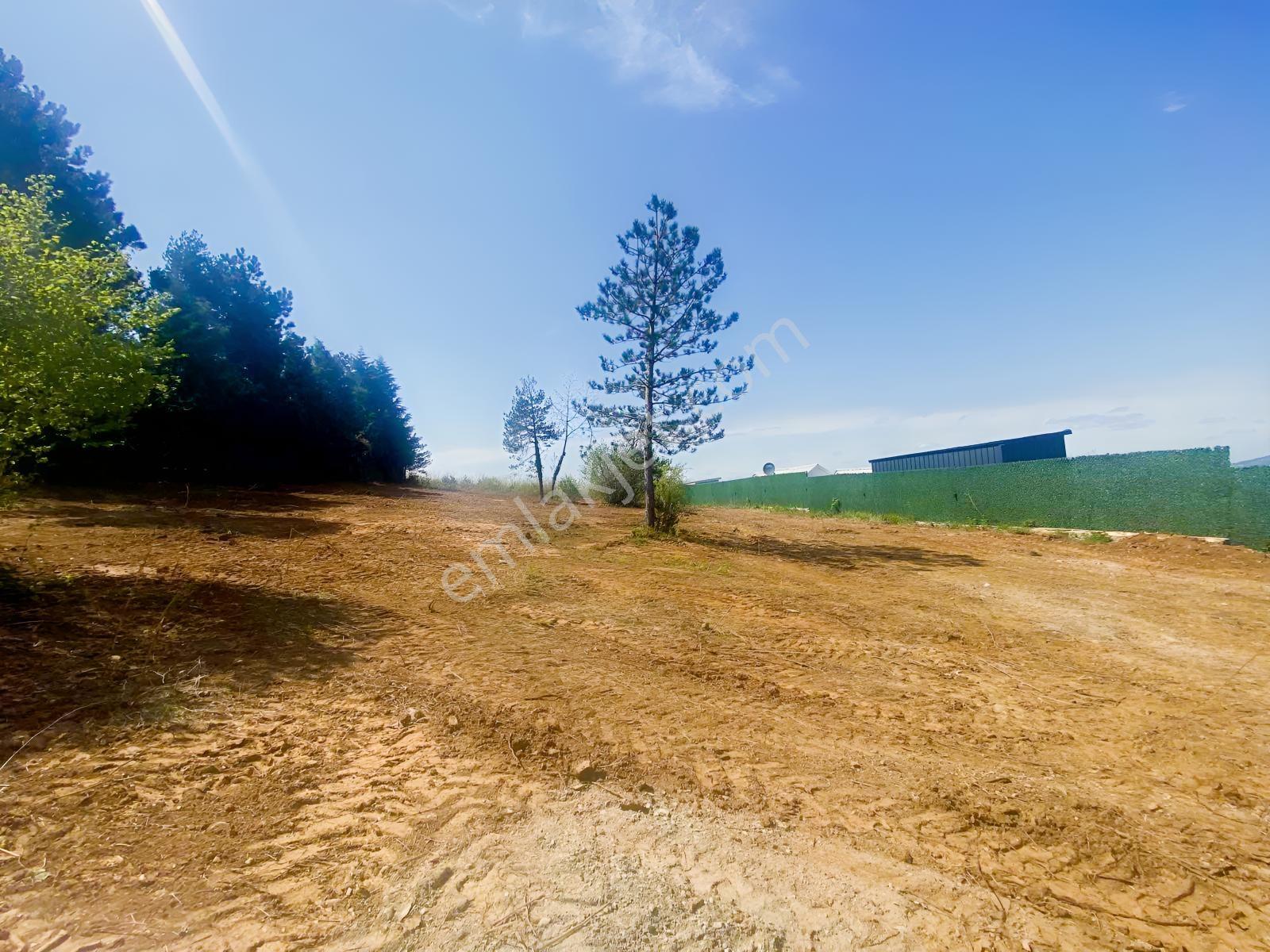 Sapanca 1748 M2 Turizm Ruhsatlı Arsa - Görsel 8