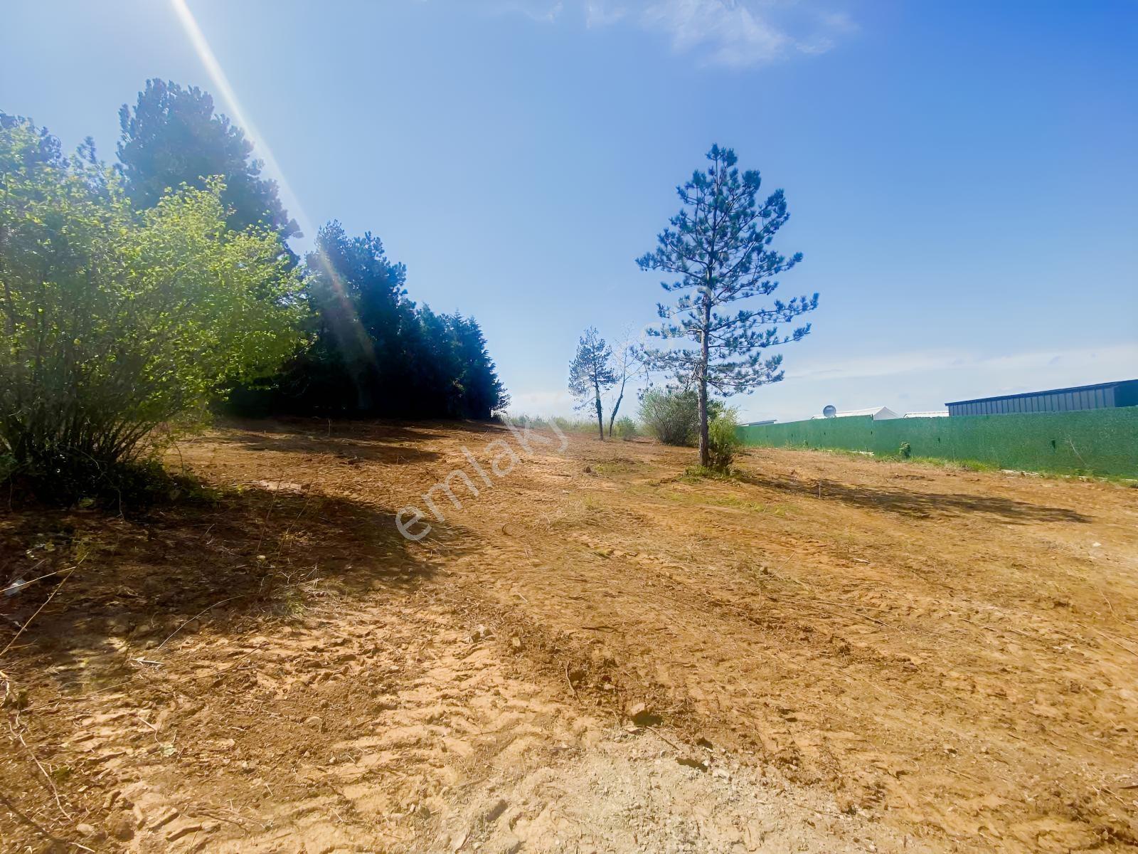 Sapanca 1748 M2 Turizm Ruhsatlı Arsa - Görsel 7