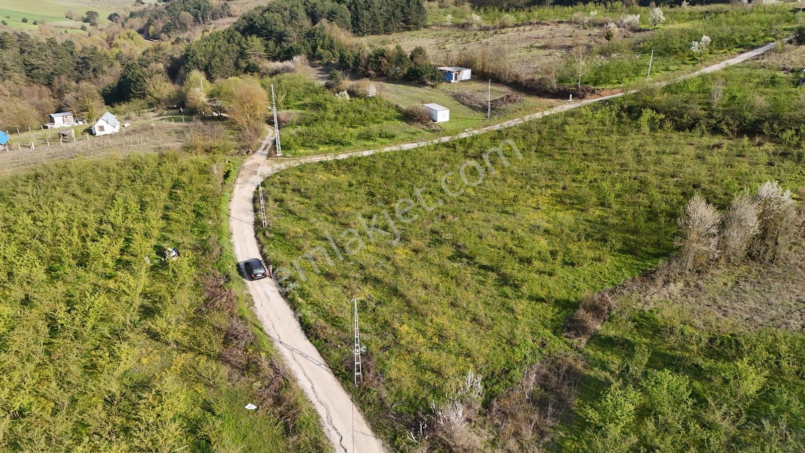 Geyve İhsaniye'de 4410 M2 Fırsat Fındık Bahçesi - Görsel 28