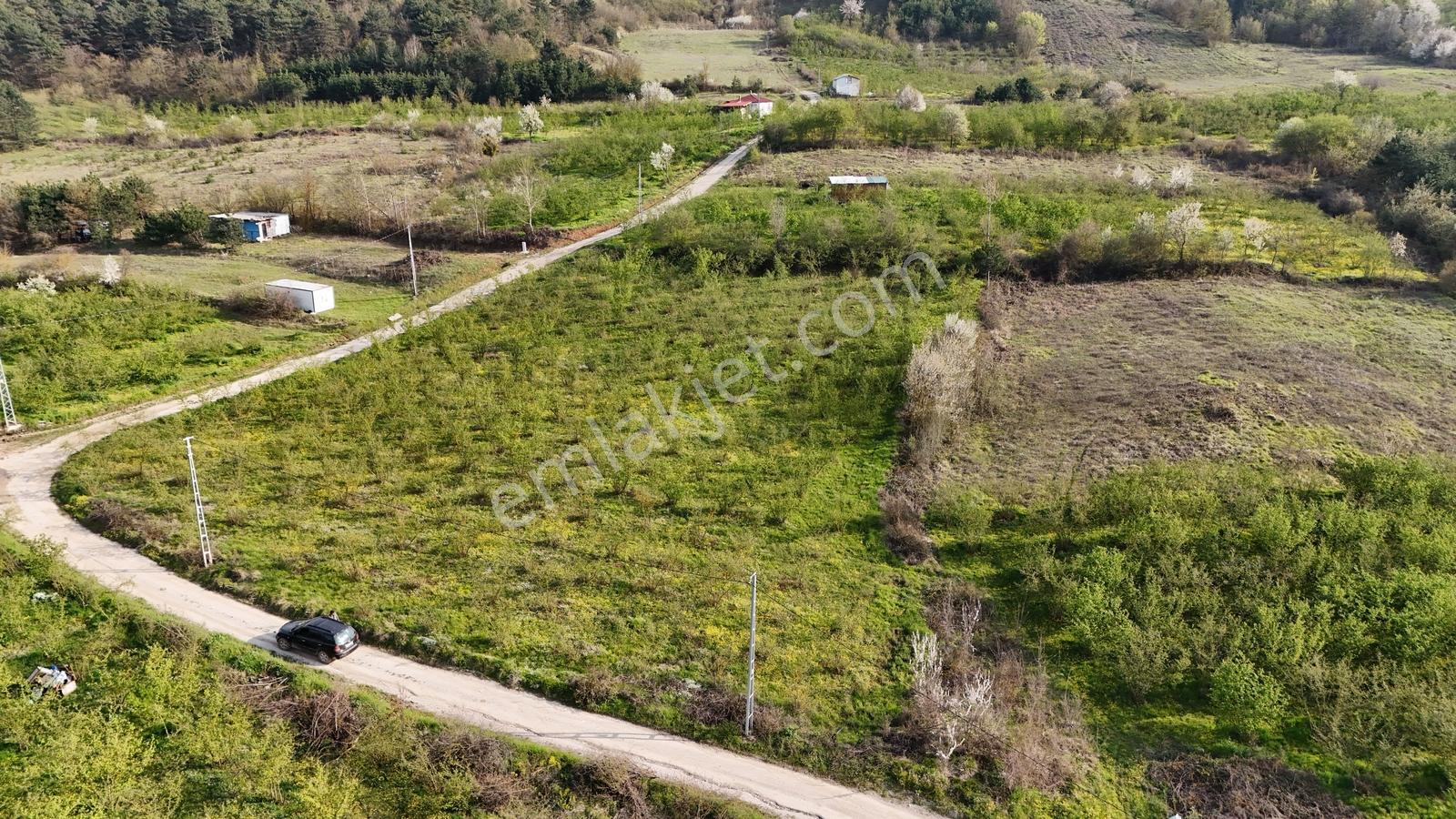 Geyve İhsaniye'de 4410 M2 Fırsat Fındık Bahçesi - Görsel 29