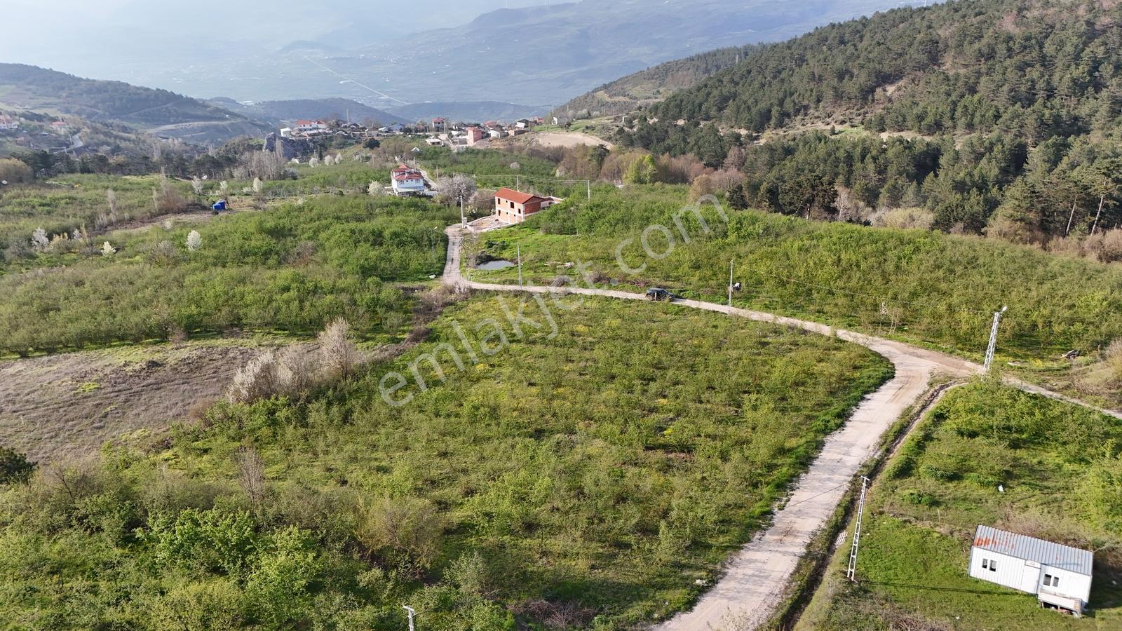 Geyve İhsaniye'de 4410 M2 Fırsat Fındık Bahçesi - Görsel 15