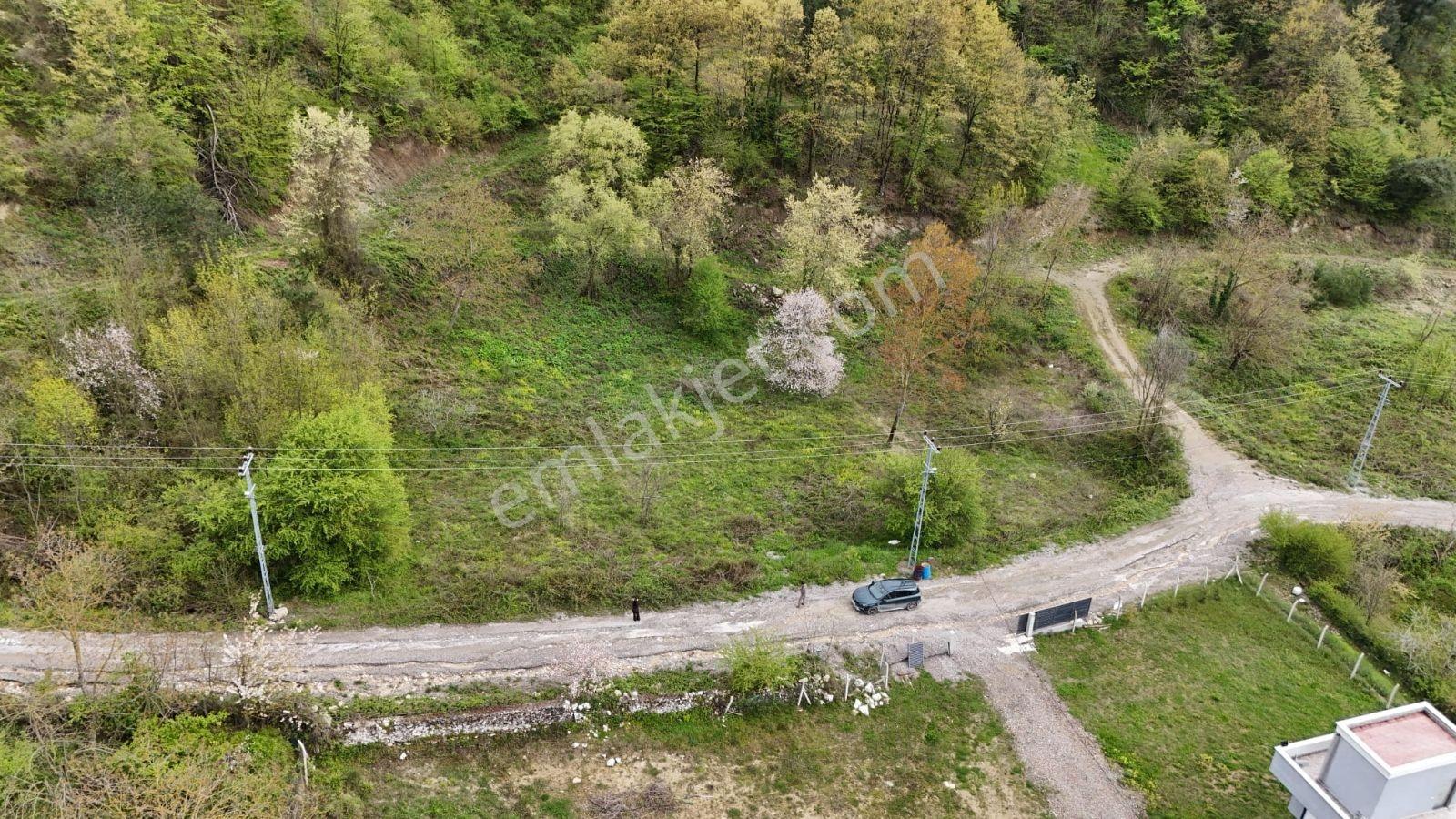 Acil Sakarya Geyve Örencik 1000 M2 %40 İmarlı Arsa Uygun Fırsat - Görsel 16