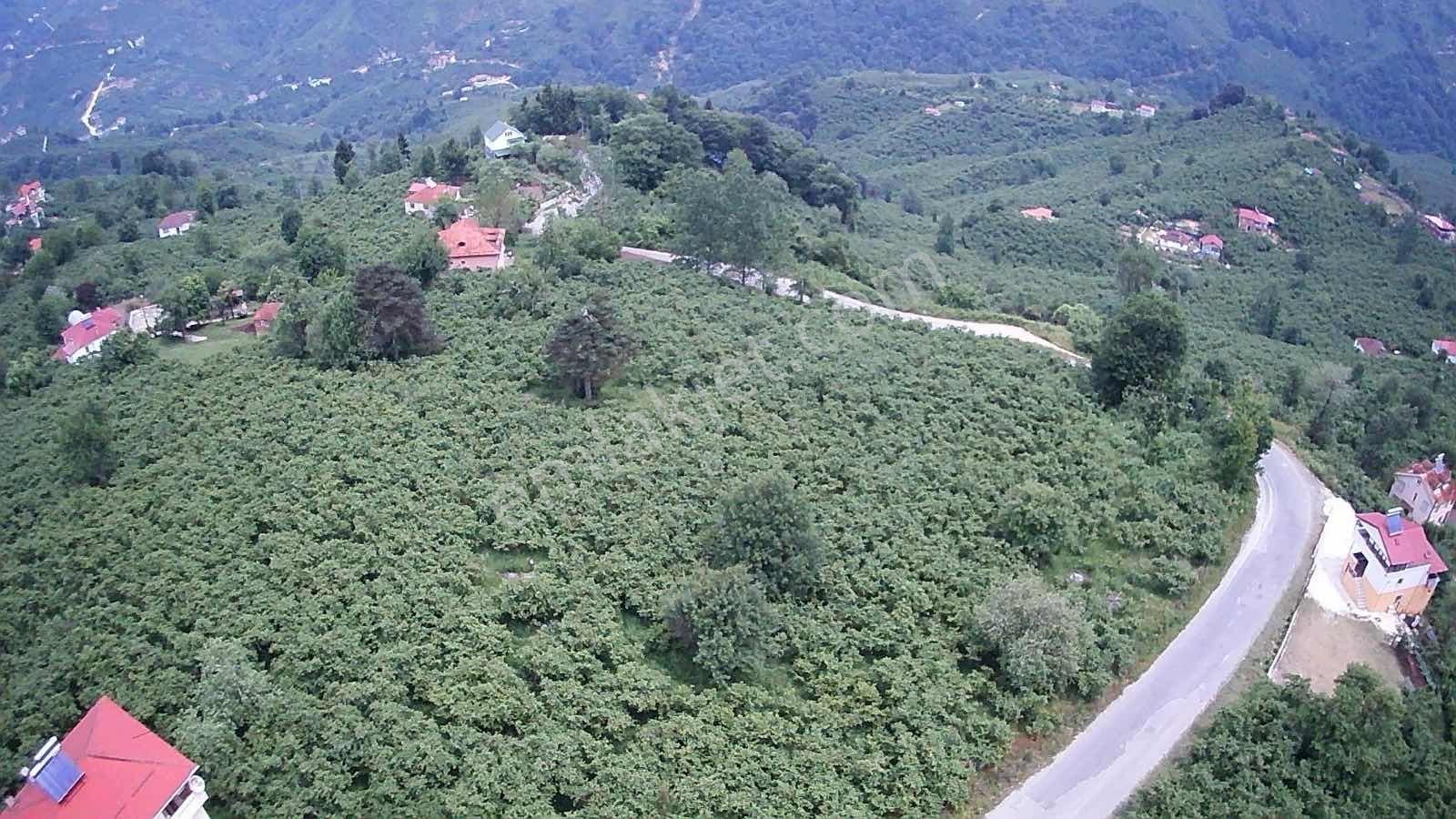 Gökdemir Gayrimenkul'den Satılık Arsa - Görsel 23