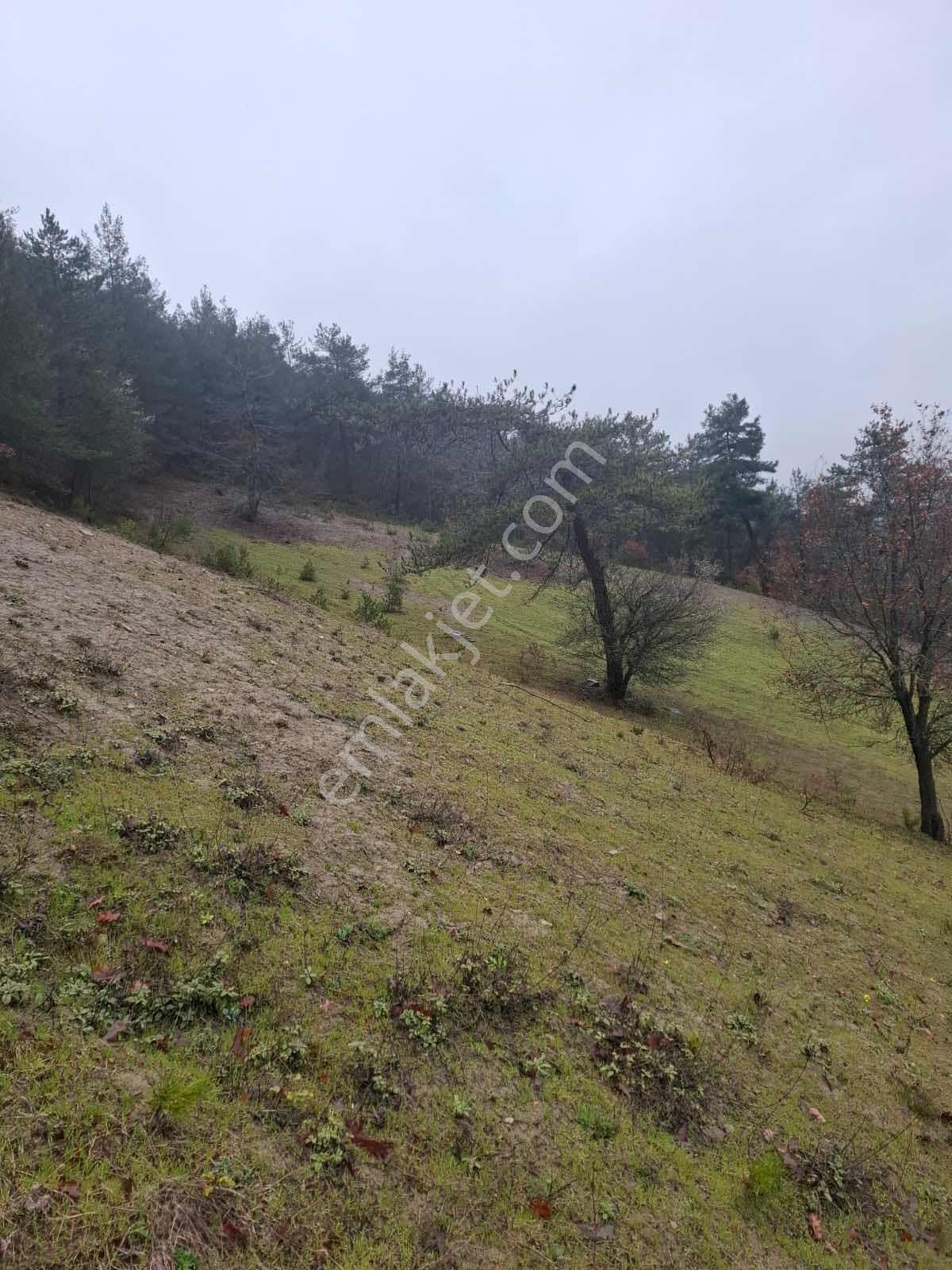 Taraklı Harkköy De 9345 M² Satılık Arsa - Görsel 14