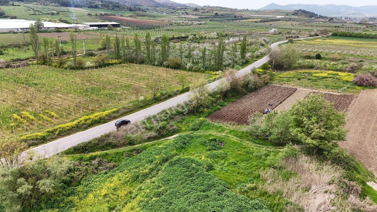 Sakarya Geyve Kozan Asfalt Kenarı 1334 M2 Sakarya Nehri Manzara - Görsel 19