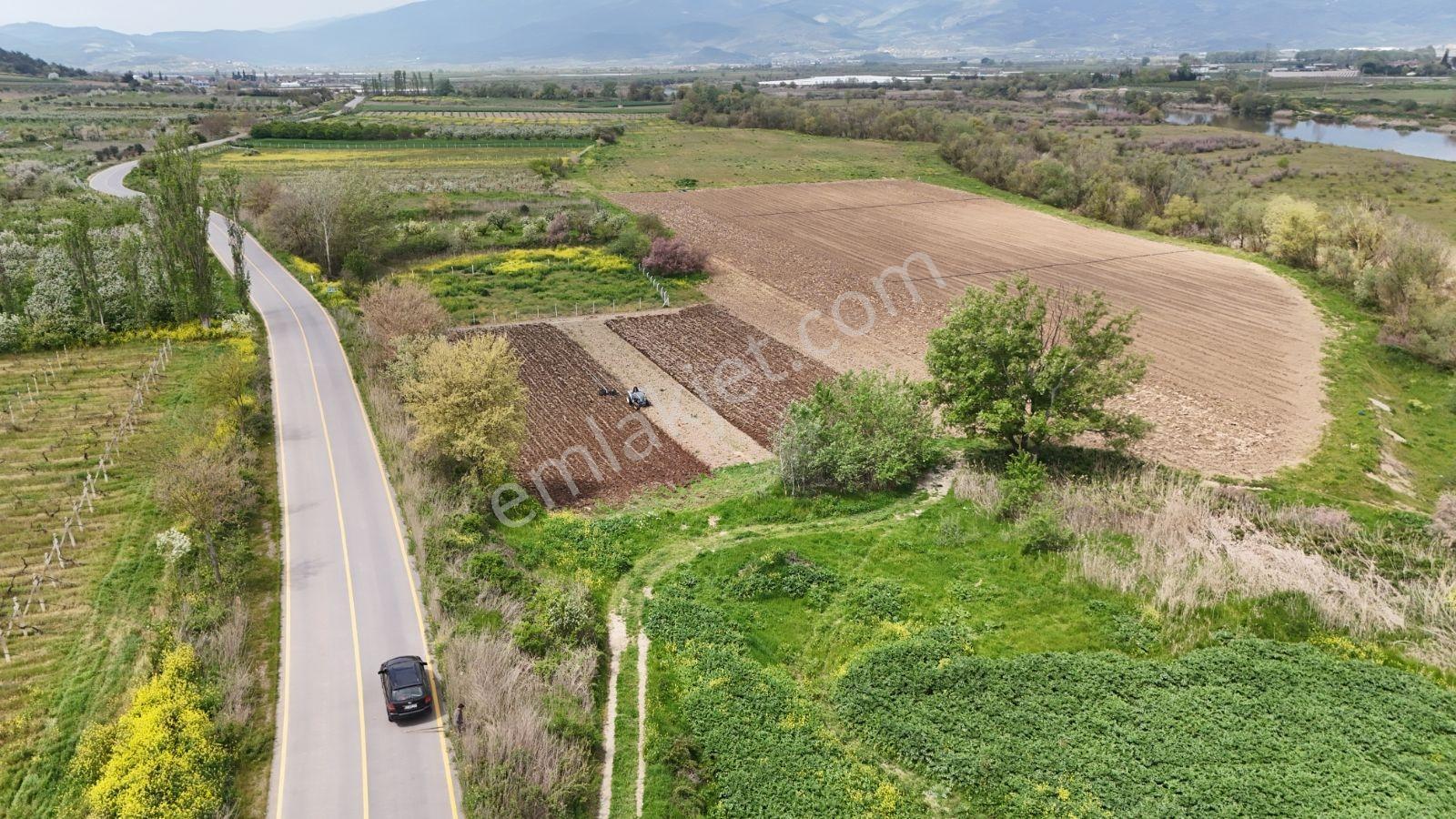 Sakarya Geyve Kozan Asfalt Kenarı 1334 M2 Sakarya Nehri Manzara - Görsel 12