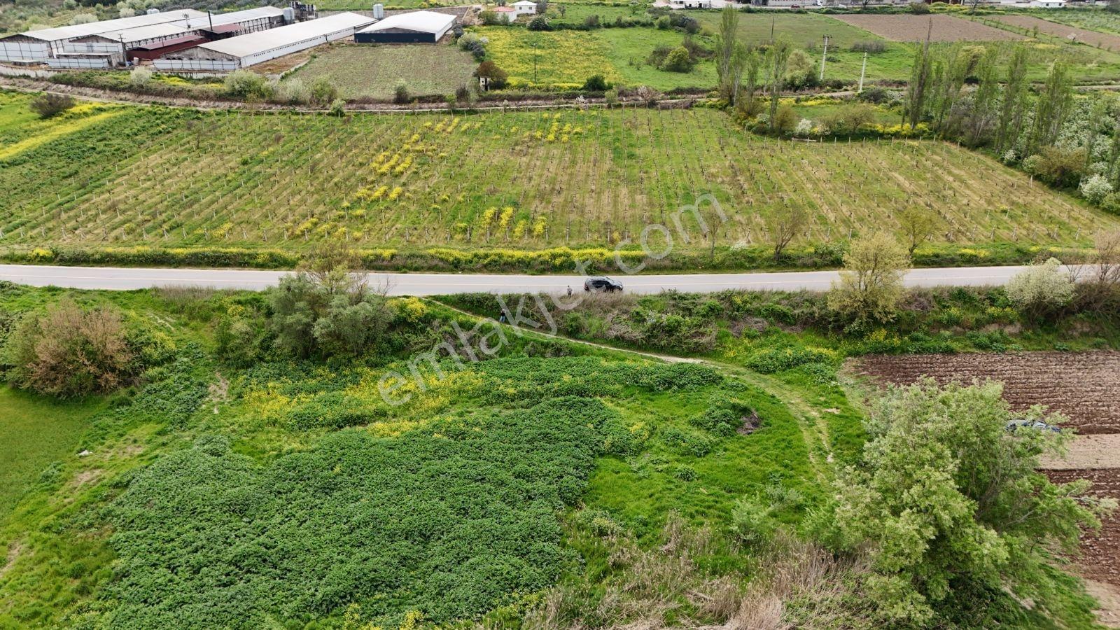 Sakarya Geyve Kozan Asfalt Kenarı 1334 M2 Sakarya Nehri Manzara - Görsel 11