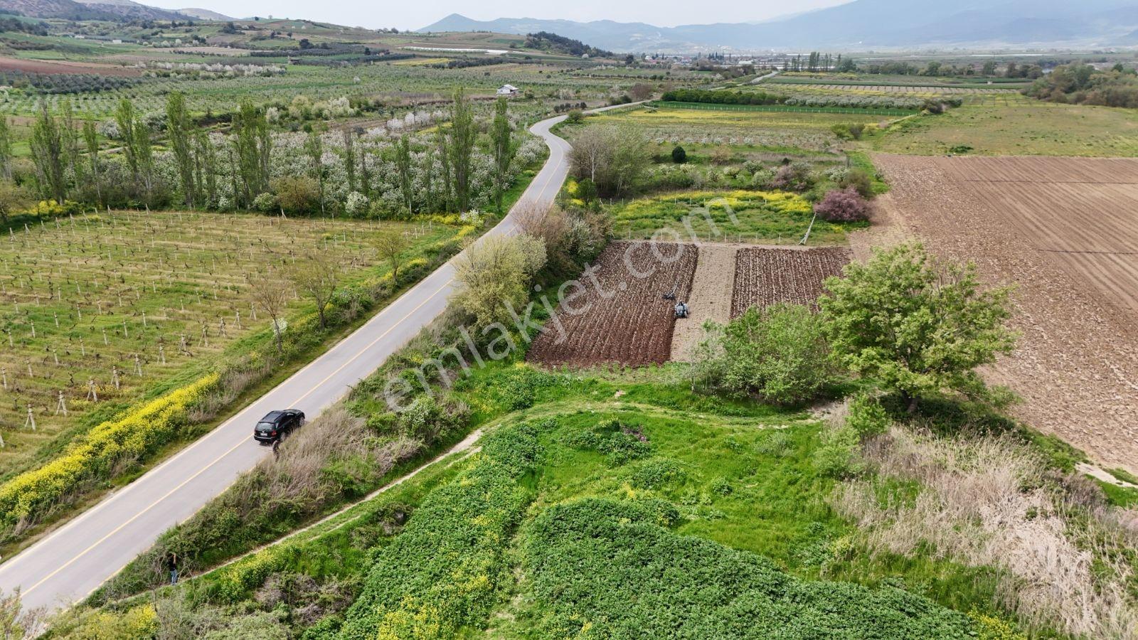 Sakarya Geyve Kozan Asfalt Kenarı 1334 M2 Sakarya Nehri Manzara - Görsel 13