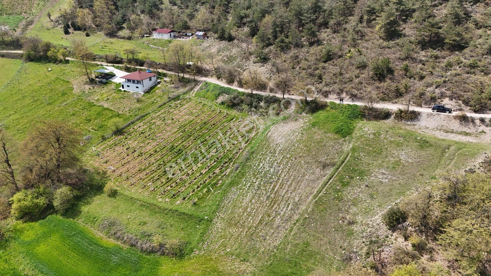 Sakarya Geyve Demirler Asfalt Kenarı Bahçe Nitelik 892 M2 Fırsat - Görsel 4
