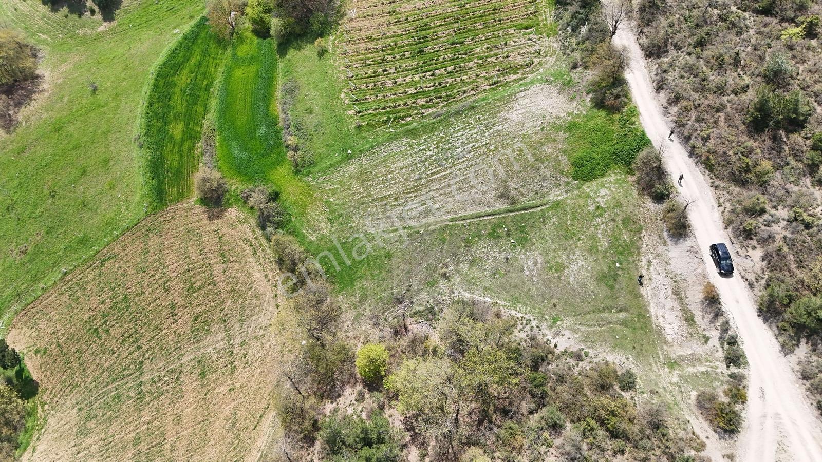 Sakarya Geyve Demirler Asfalt Kenarı Bahçe Nitelik 892 M2 Fırsat - Görsel 10