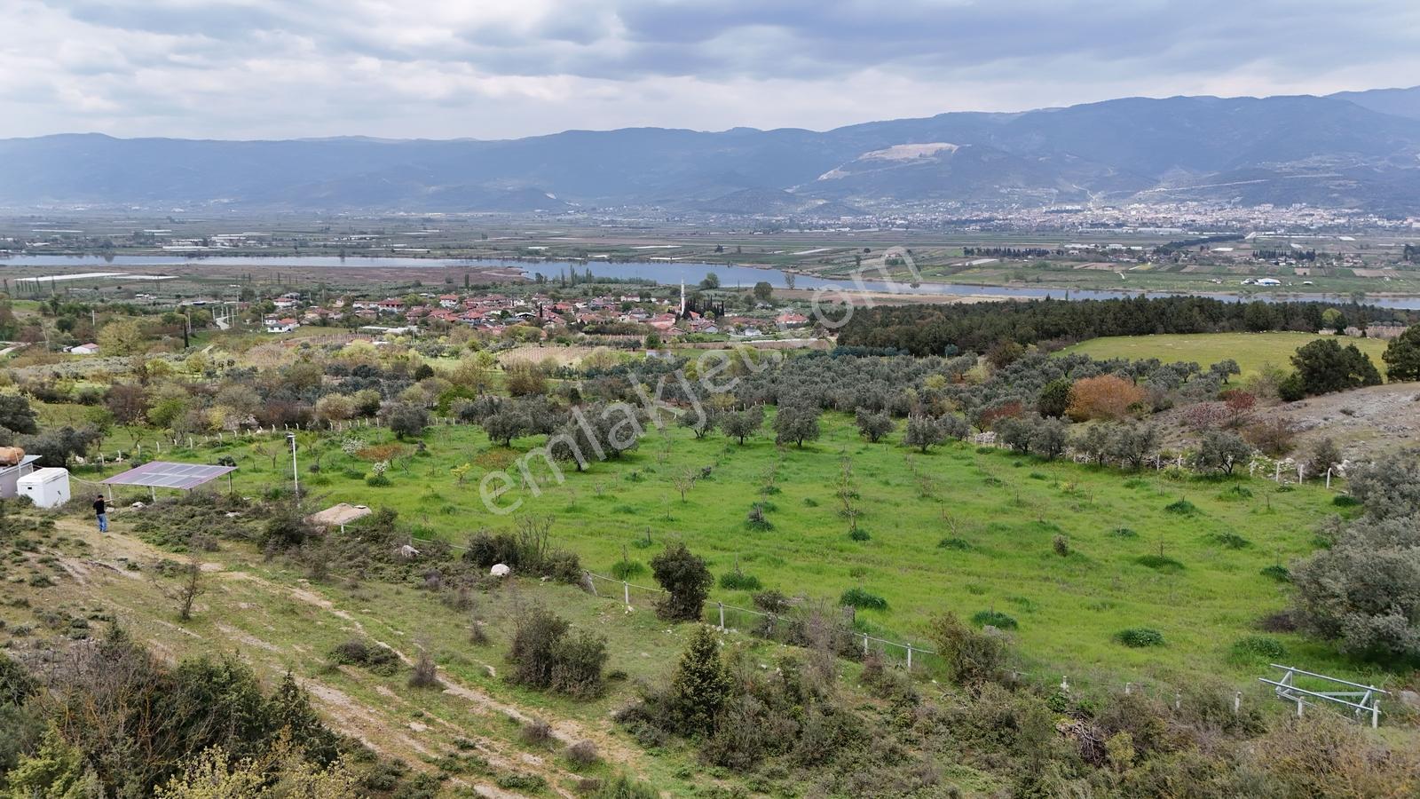 Sakarya Geyve Bozören 2202 M2 Sakarya Nehri Manzaralı - Görsel 18