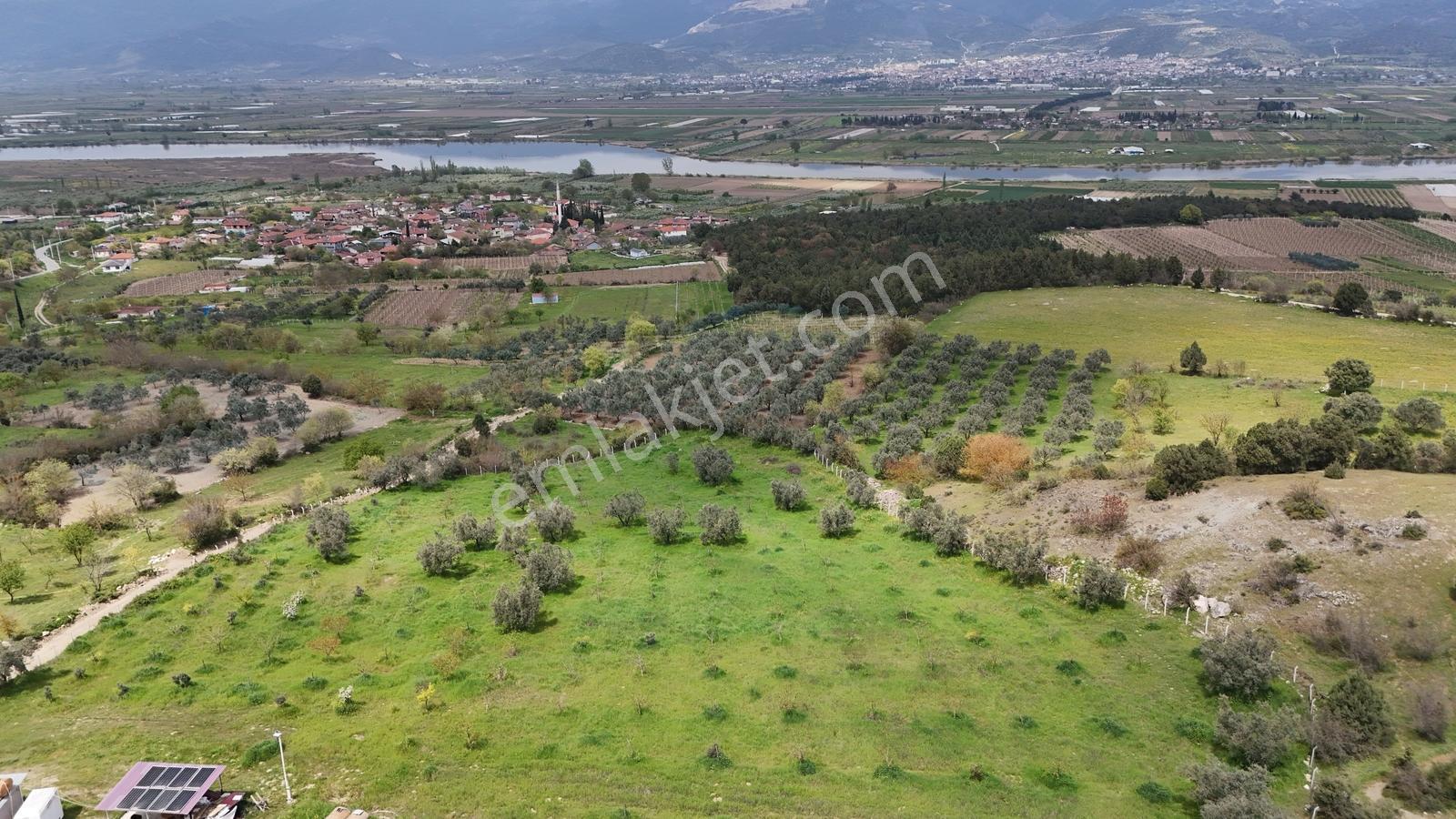 Sakarya Geyve Bozören 2202 M2 Sakarya Nehri Manzaralı - Görsel 9