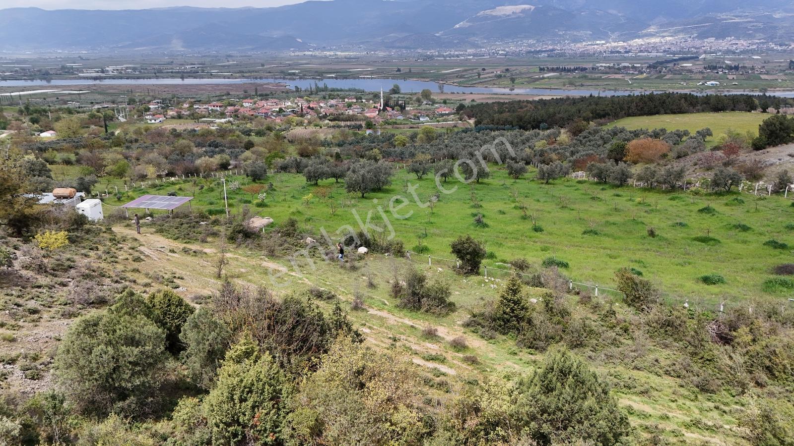 Sakarya Geyve Bozören 2202 M2 Sakarya Nehri Manzaralı - Görsel 25