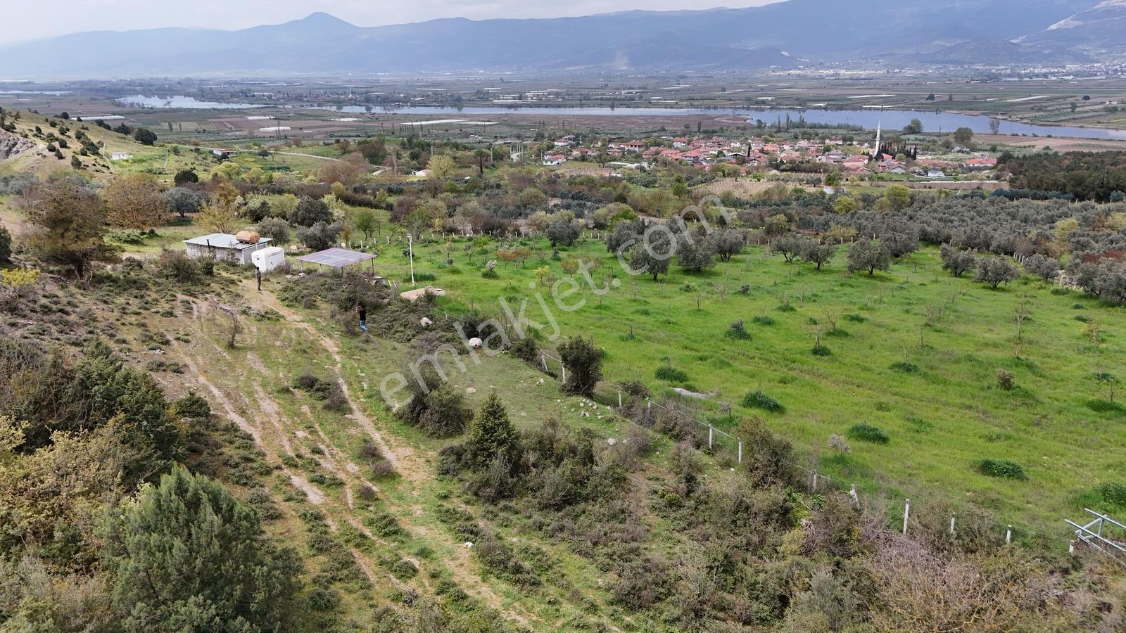 Sakarya Geyve Bozören 2202 M2 Sakarya Nehri Manzaralı - Görsel 6