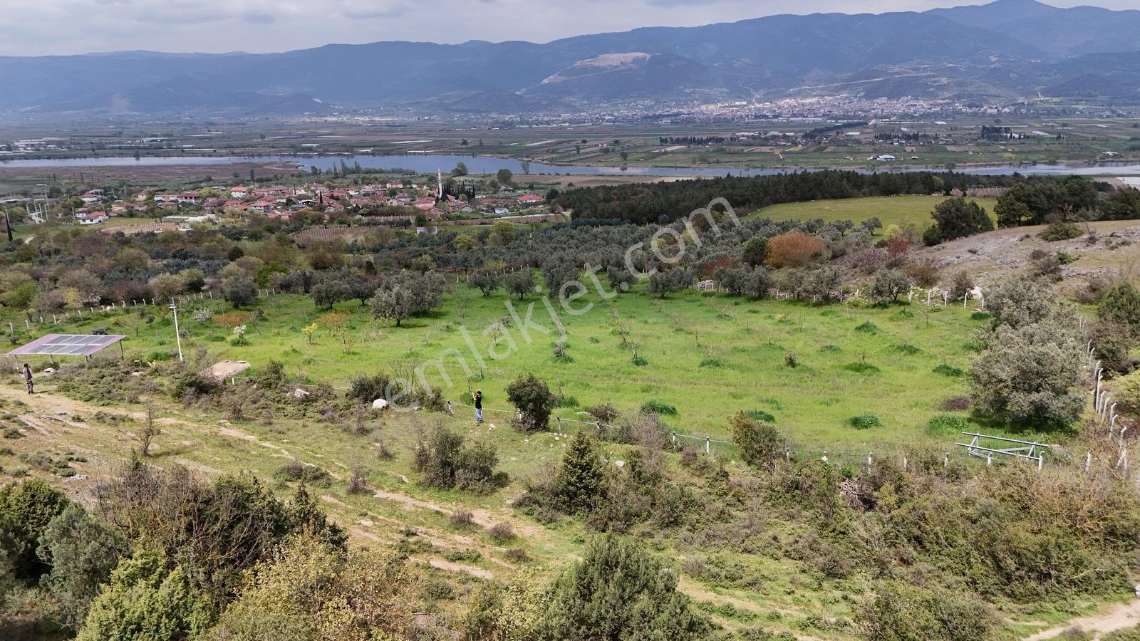 Sakarya Geyve Bozören 2202 M2 Sakarya Nehri Manzaralı - Görsel 11