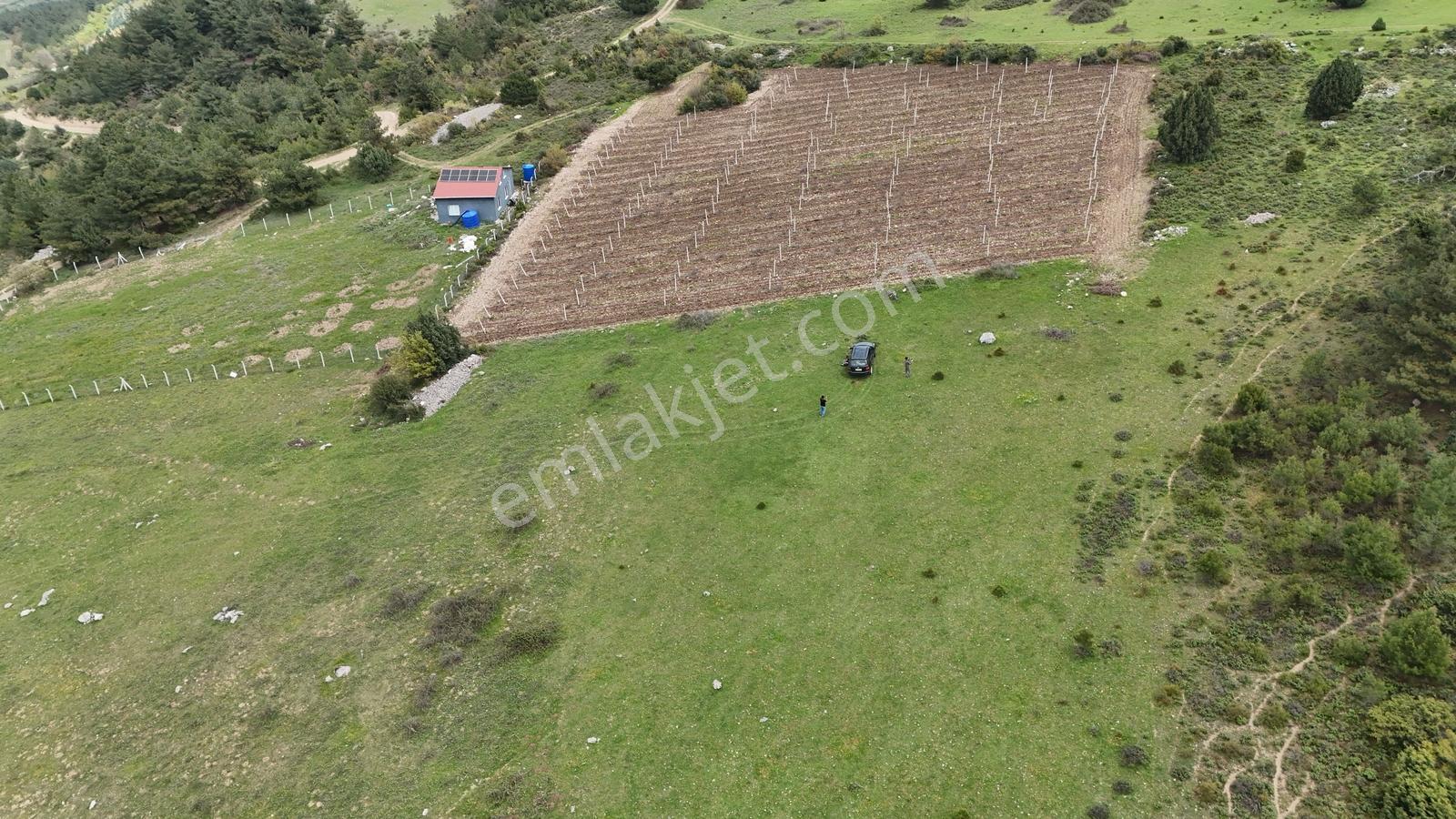 Sakarya Geyve Hacılar 3101 M2 Uygun Fırsat Tarla - Görsel 11