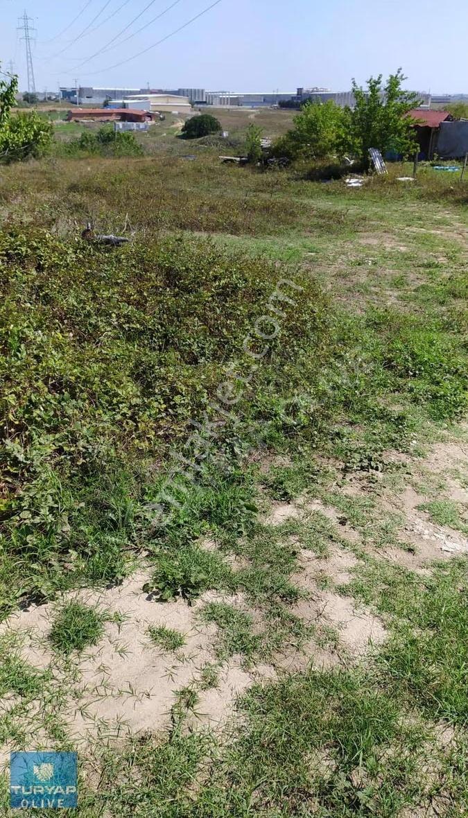 Tekirdağ Ergene Müthiş Konum Satılık Bağ Arsa - Görsel 2