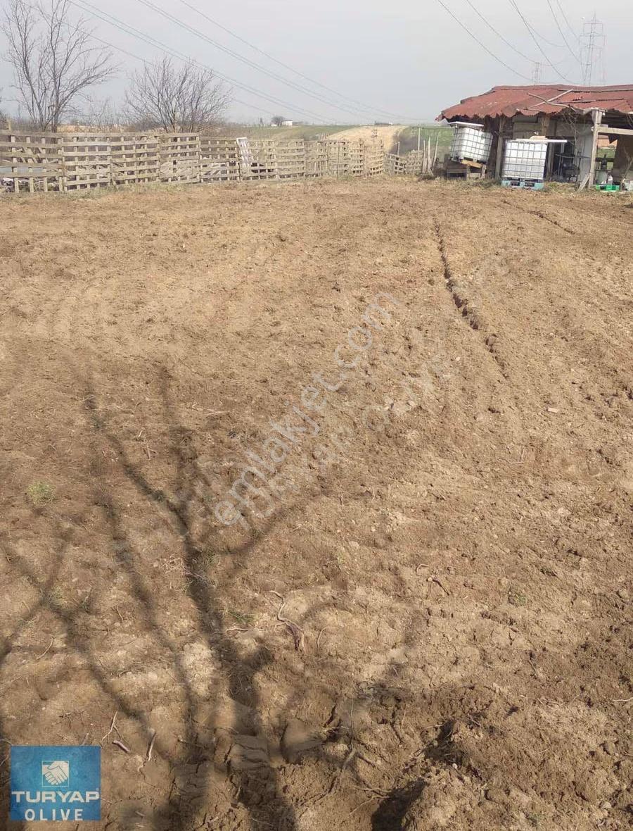 Tekirdağ Ergene Müthiş Konum Satılık Bağ Arsa