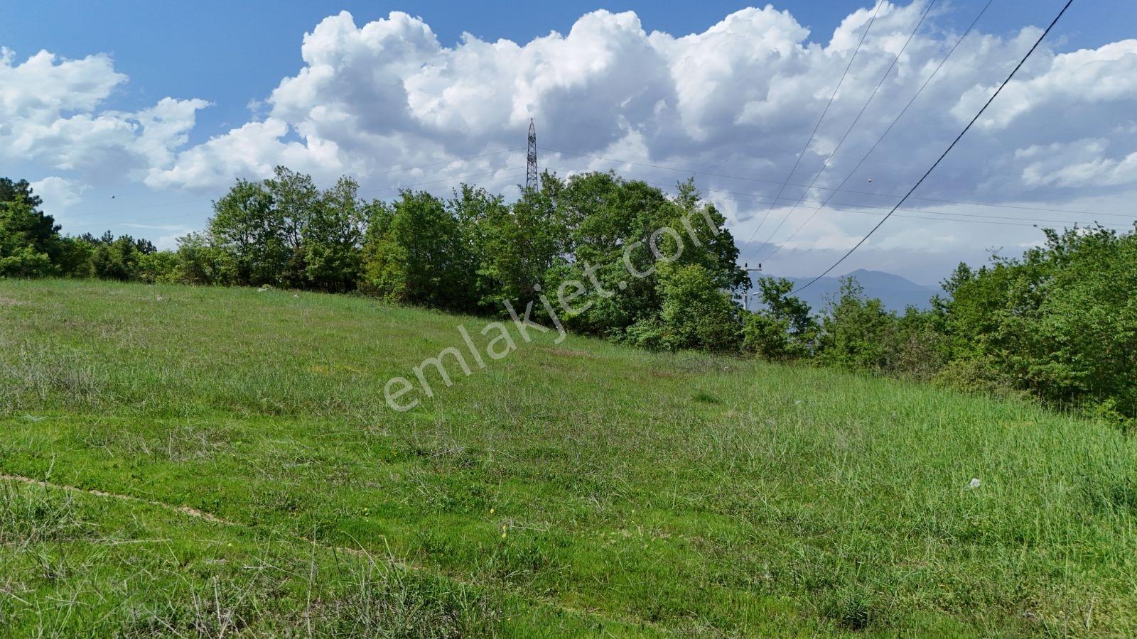 Sakarya Geyve Seyir Terası Üstü 5480m2 Asfalta Cephe Kaçmaz Arsa - Görsel 18