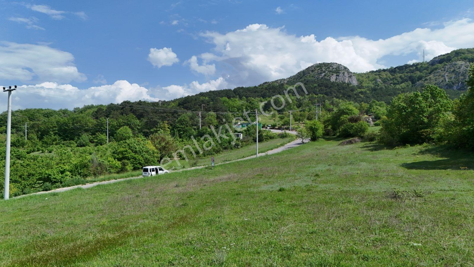 Sakarya Geyve Seyir Terası Üstü 5480m2 Asfalta Cephe Kaçmaz Arsa - Görsel 24