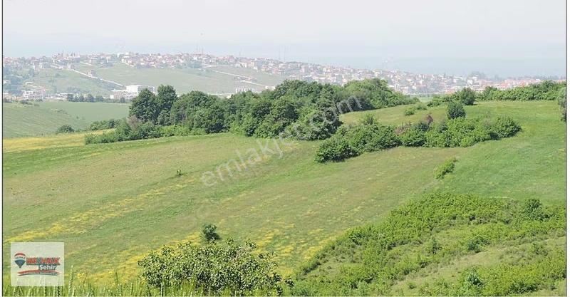 Yalova Merkez Kirazlı Da 6.746m2 Satılık Tarla Hissesi - Görsel 21