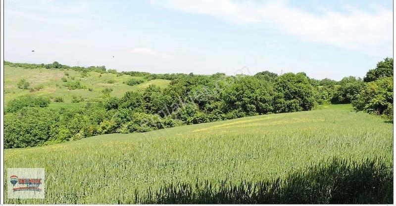 Yalova Merkez Kirazlı Da 6.746m2 Satılık Tarla Hissesi - Görsel 28
