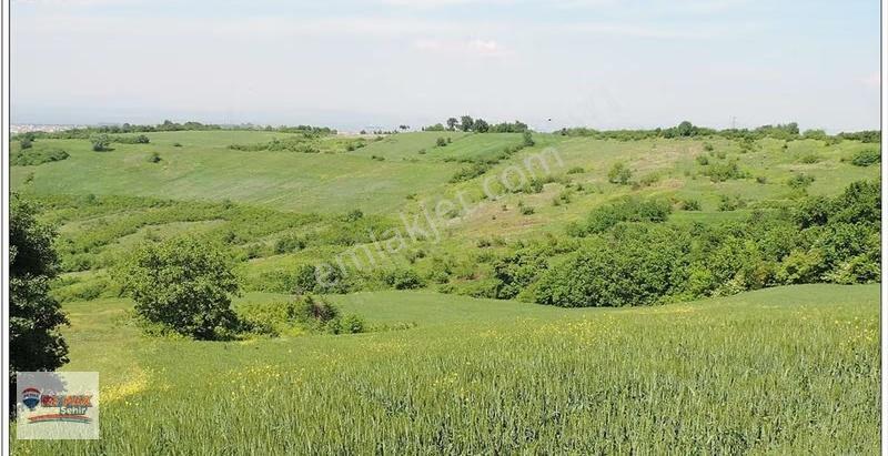 Yalova Merkez Kirazlı Da 6.746m2 Satılık Tarla Hissesi - Görsel 11