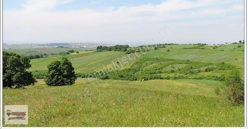 Yalova Merkez Kirazlı Da 6.746m2 Satılık Tarla Hissesi - Görsel 17
